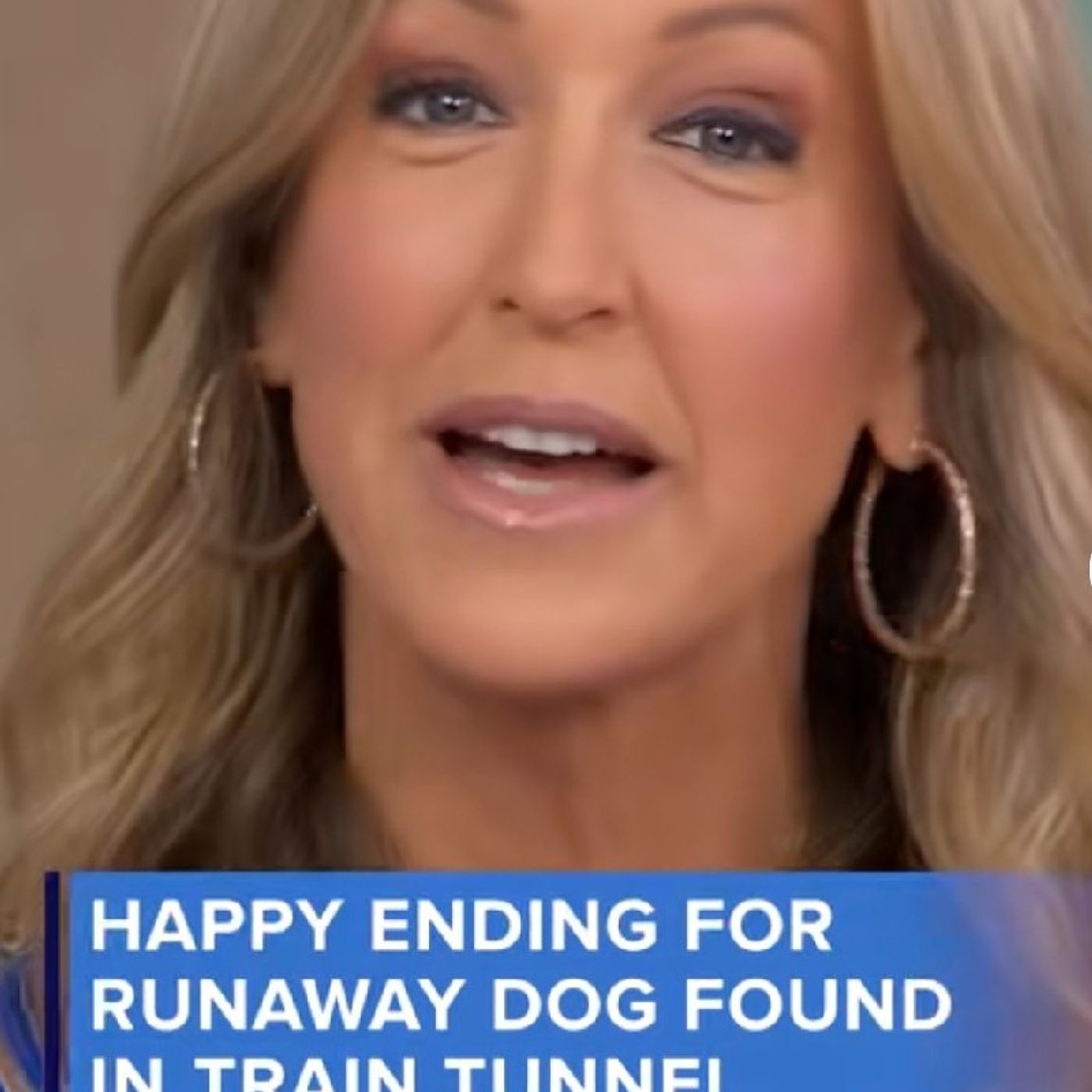Happy ending for runaway dog Roo who was found in train tunnel after train episode artwork