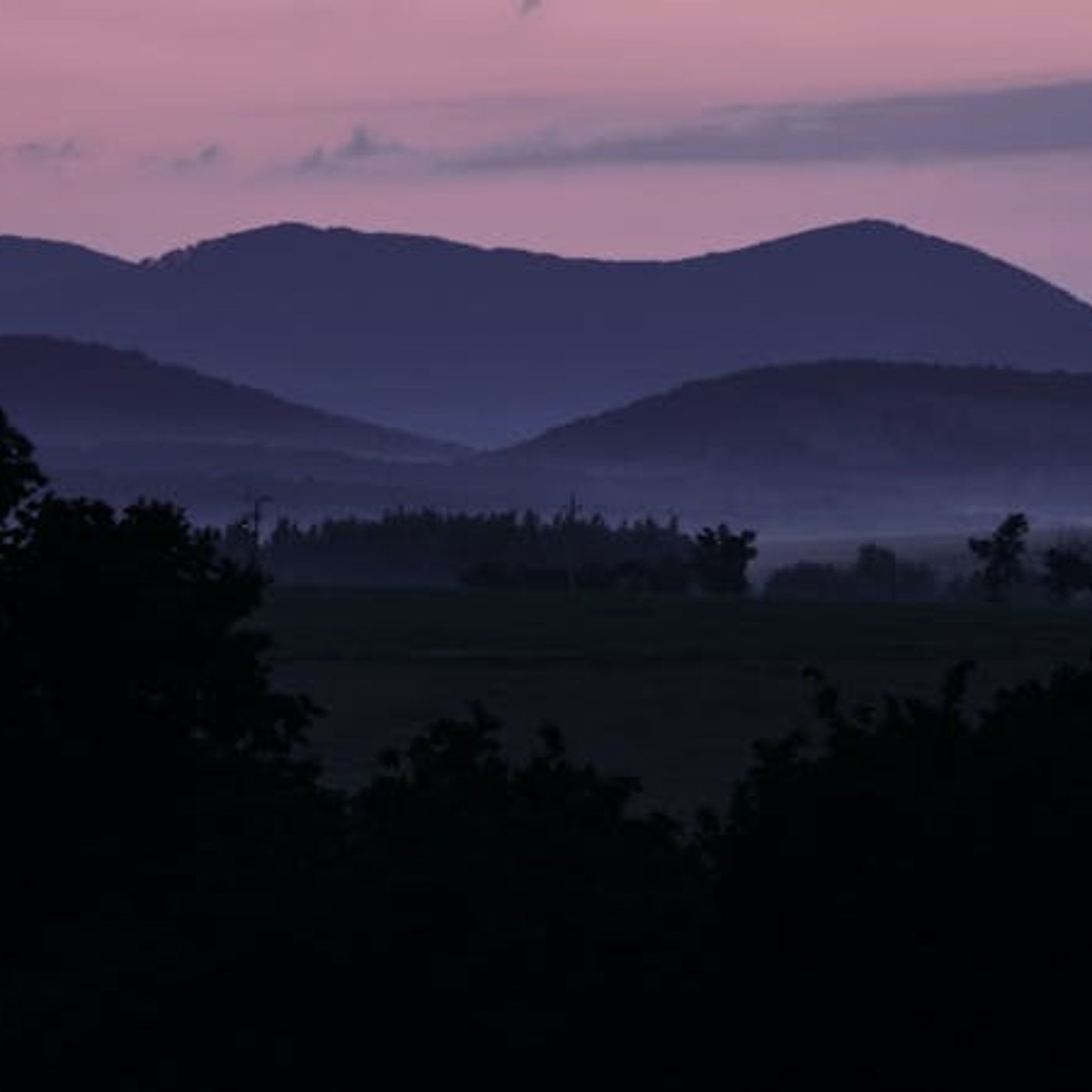 If All My Sins Are Forgiven, Why Pursue Holiness?