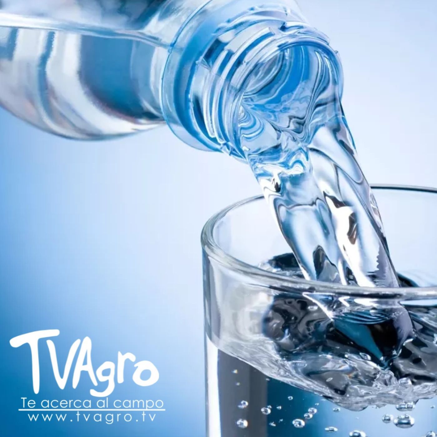 TV AGRO