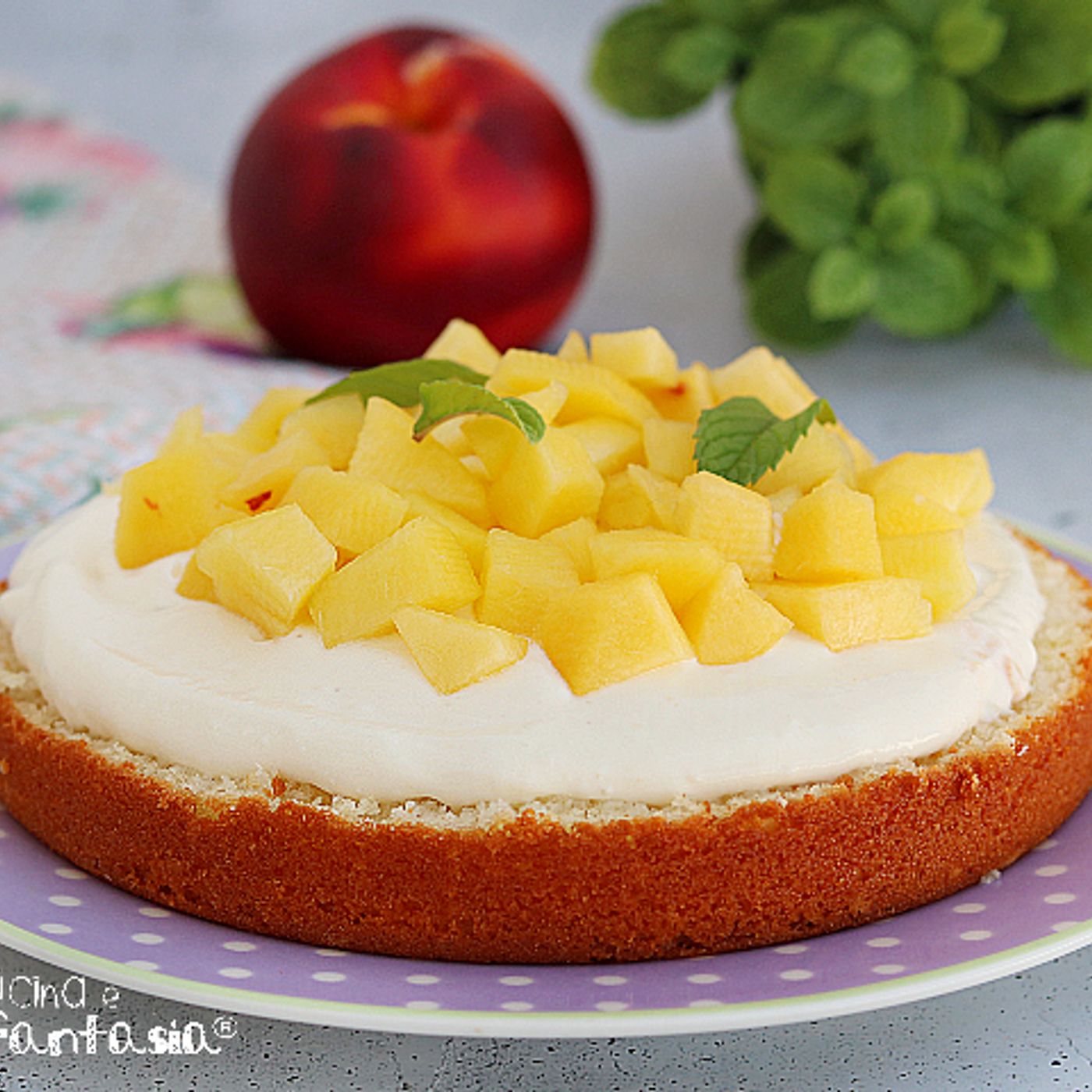 Torta fredda yogurt e pesche