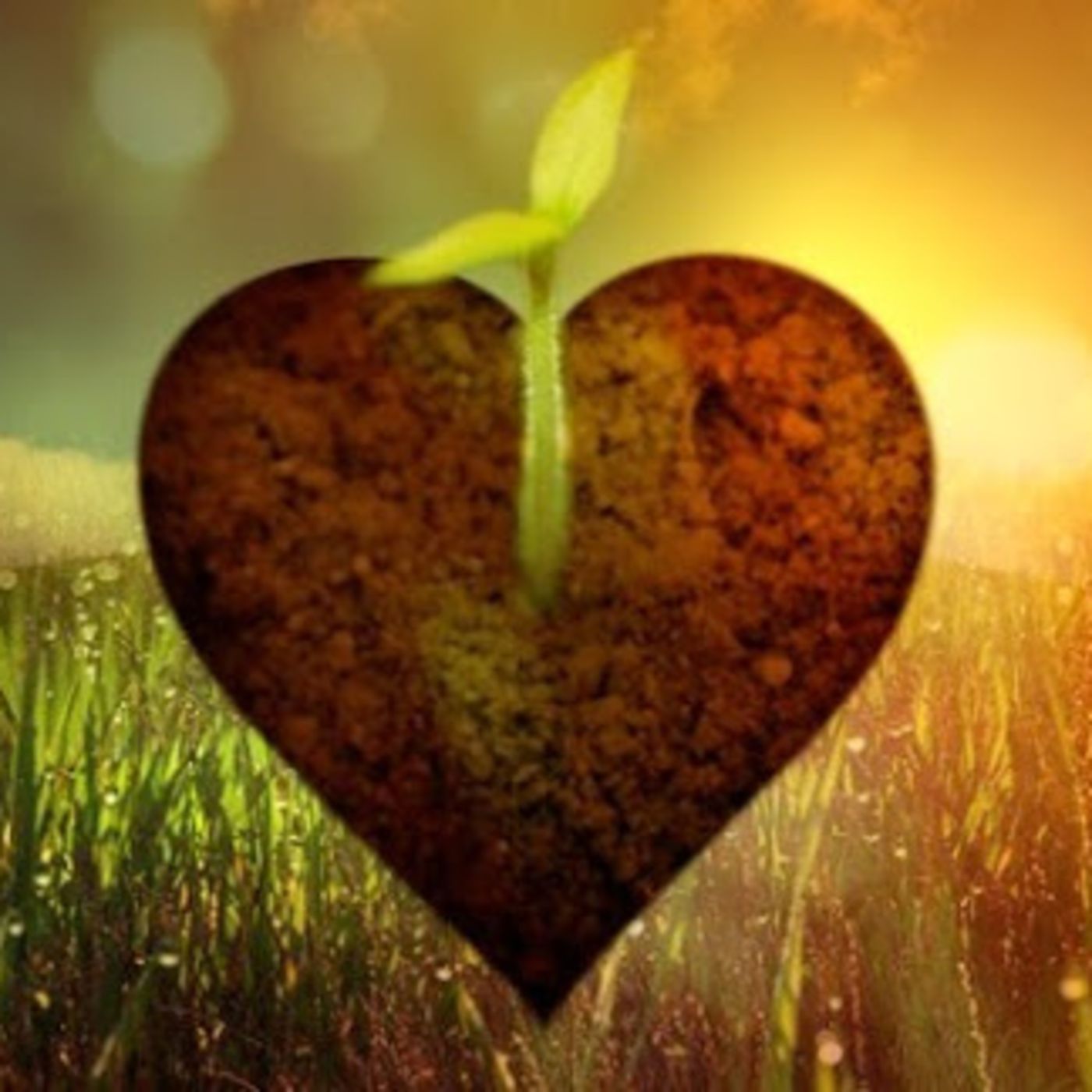 Making An Impact Christian Podcast Show