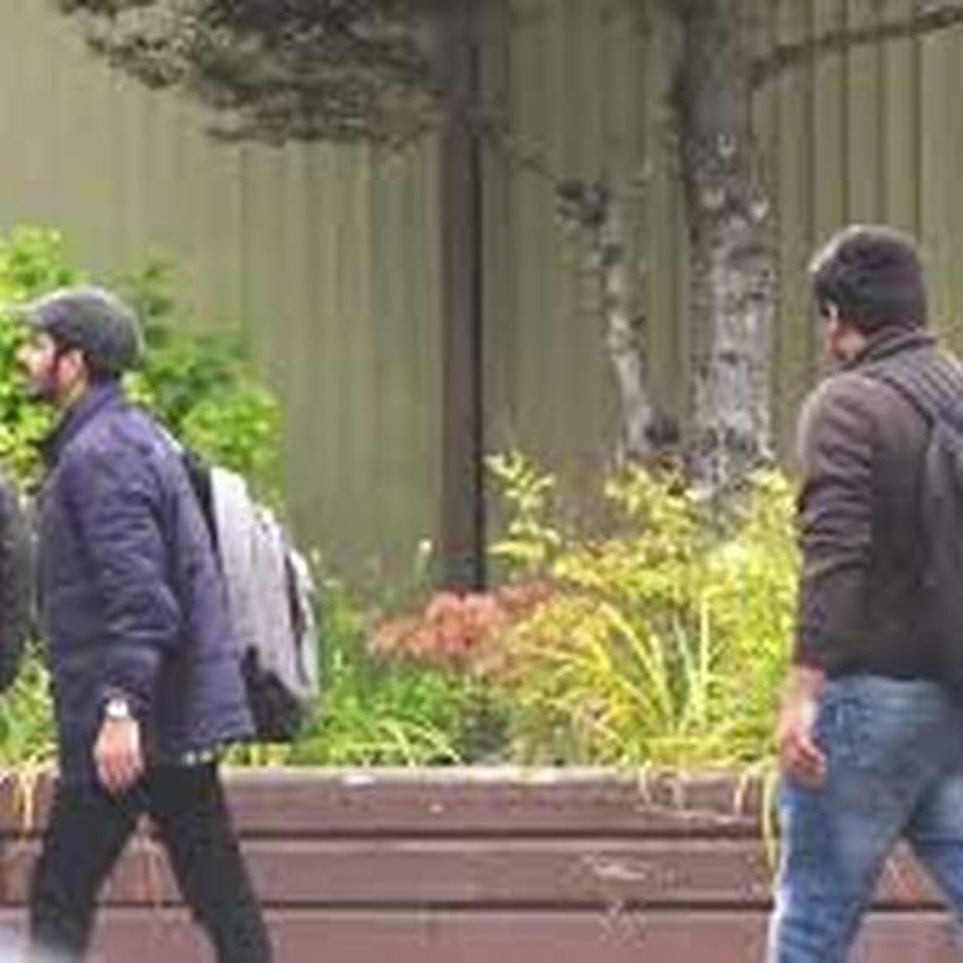 How international student study permit cap is affecting Windsor rental market episode artwork