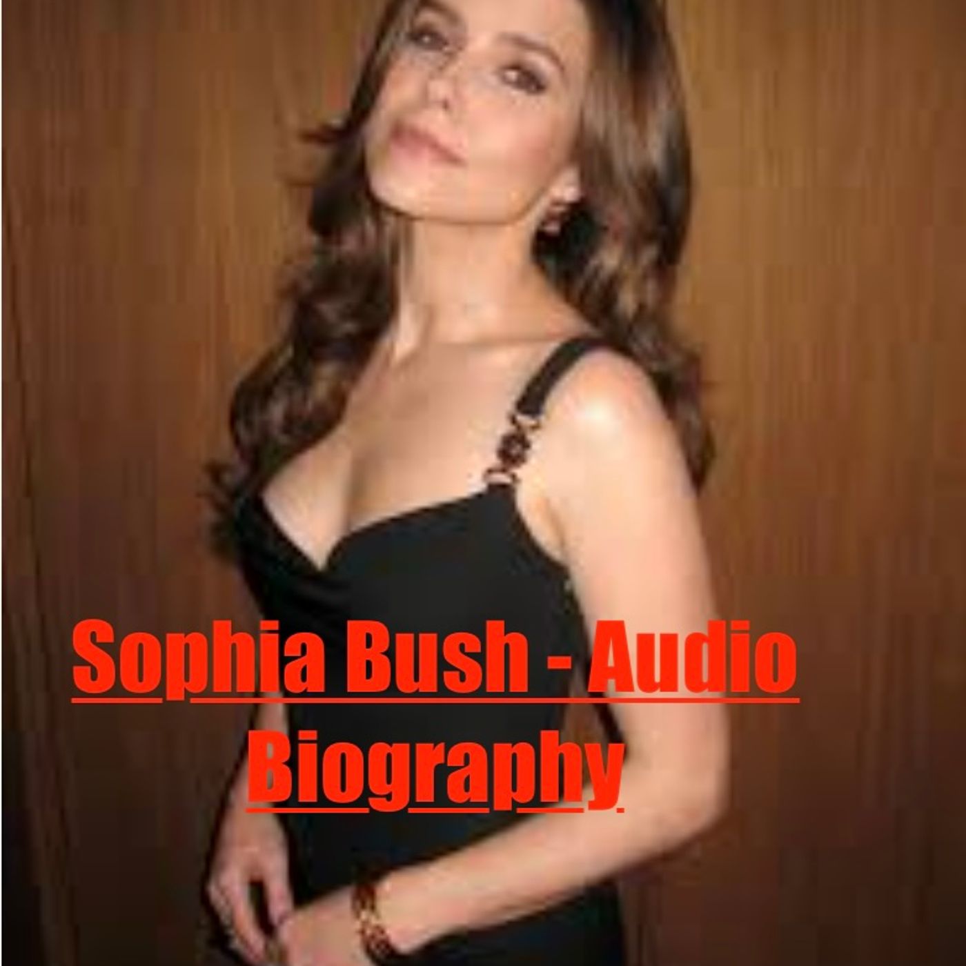 Sophia Bush - Audio Biography