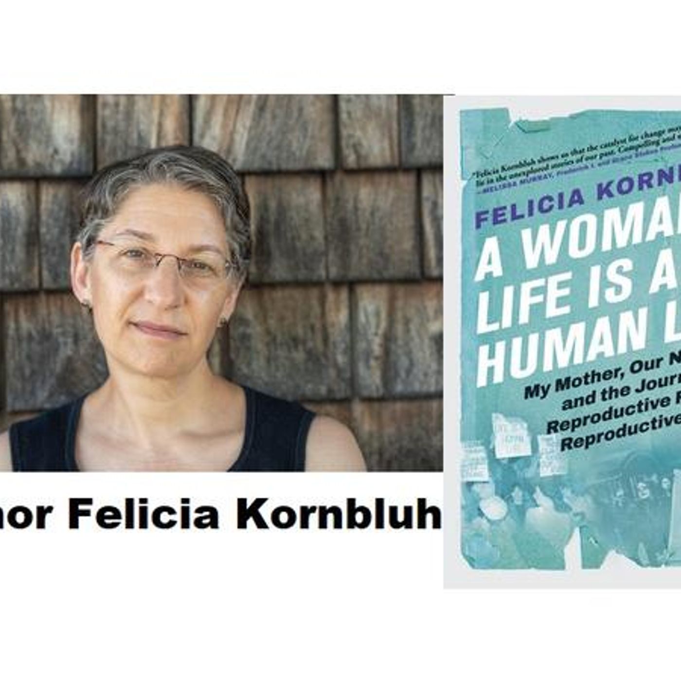 Author Felicia Kornbluh discusses A WOMAN'S LIFE IS A HUMAN LIFE episode artwork