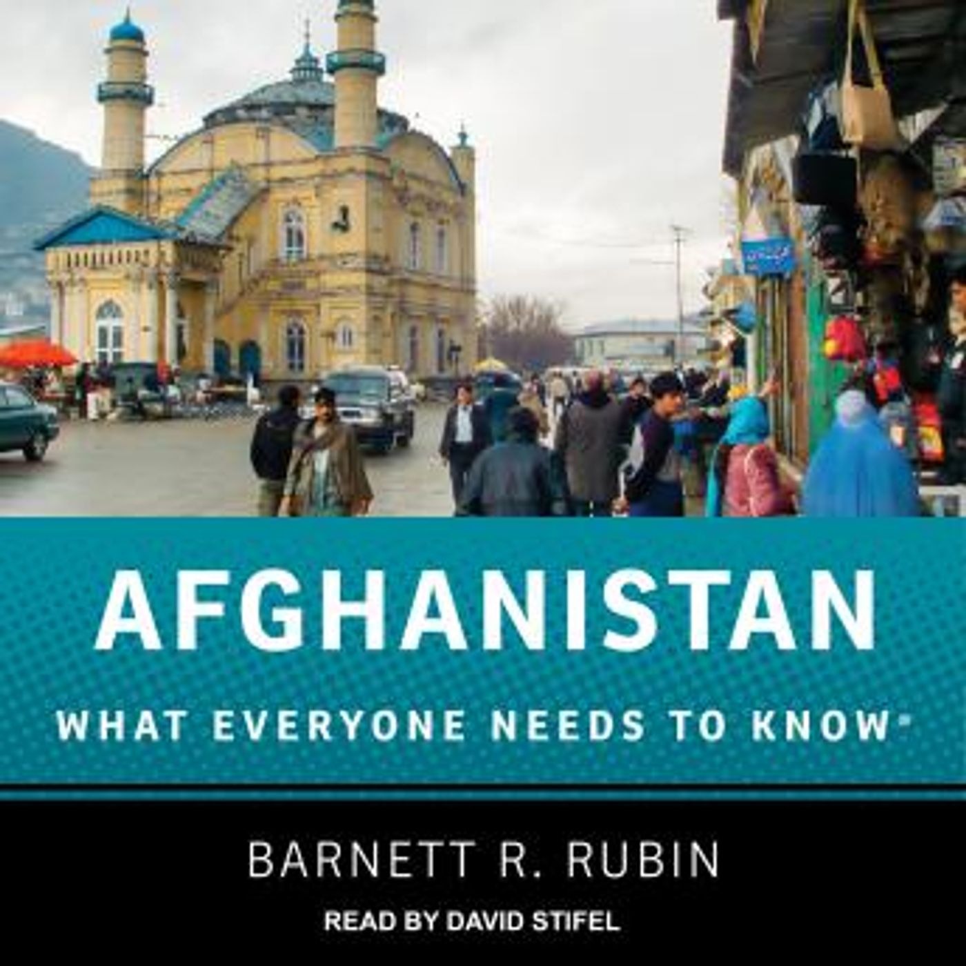 Enjoy Amazing Audiobooks in Non-Fiction, Current Affairs, Law, & Politics