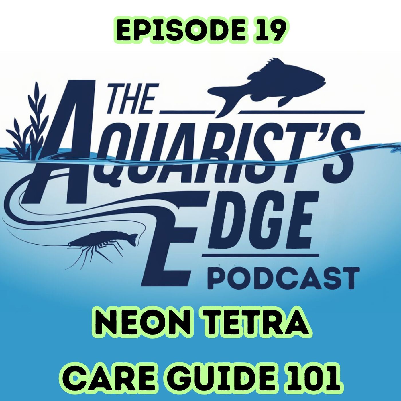 The Aquarist\'s Edge