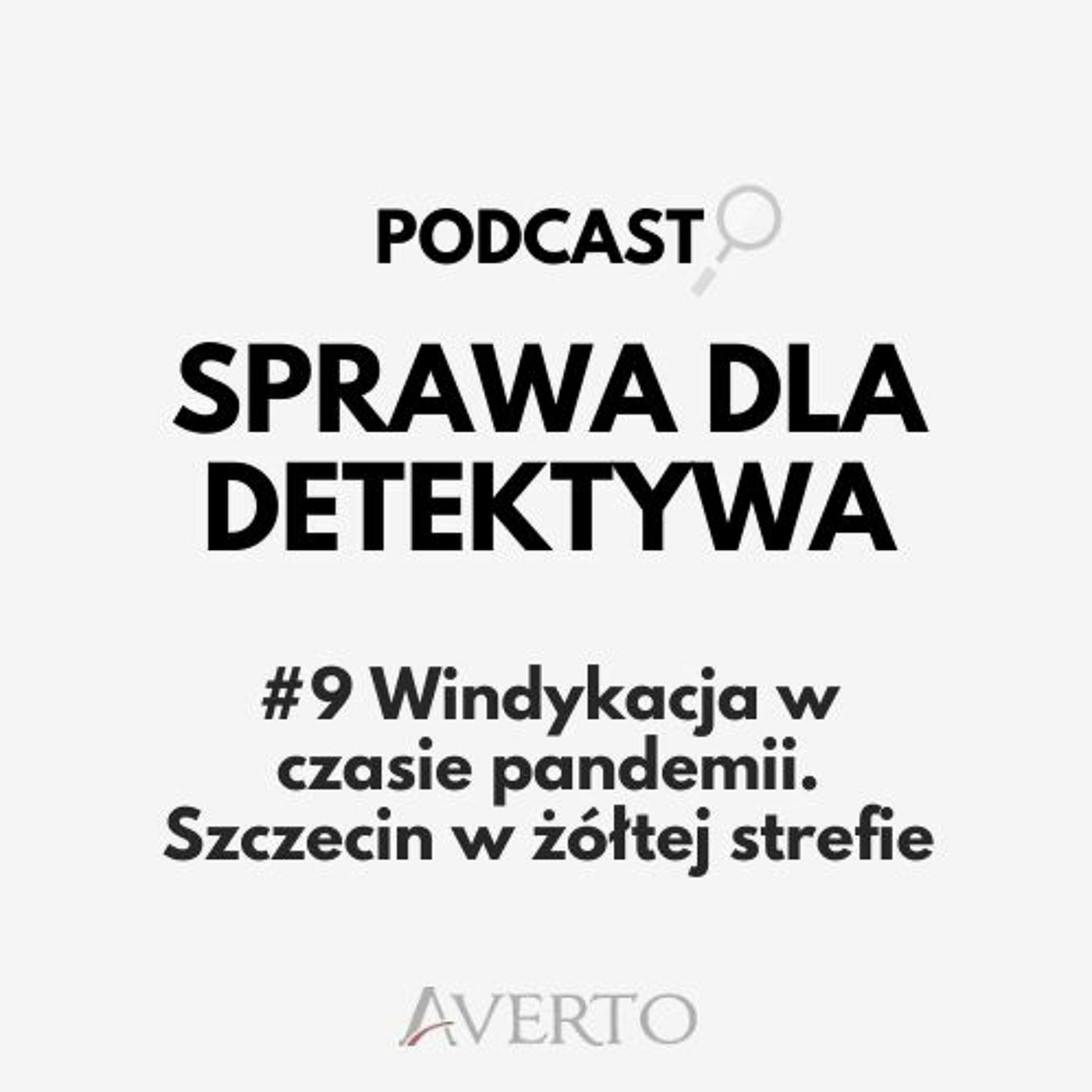 Sprawa dla detektywa