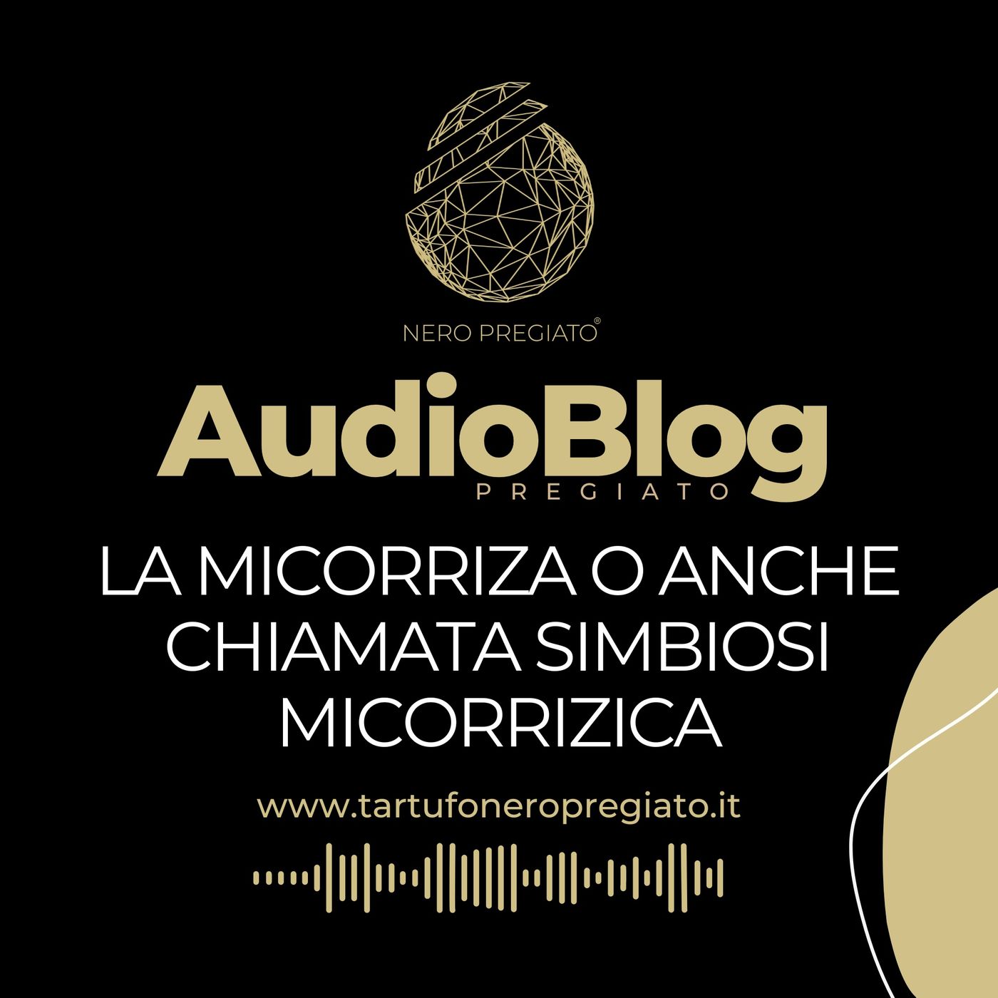 AudioBlog Pregiato