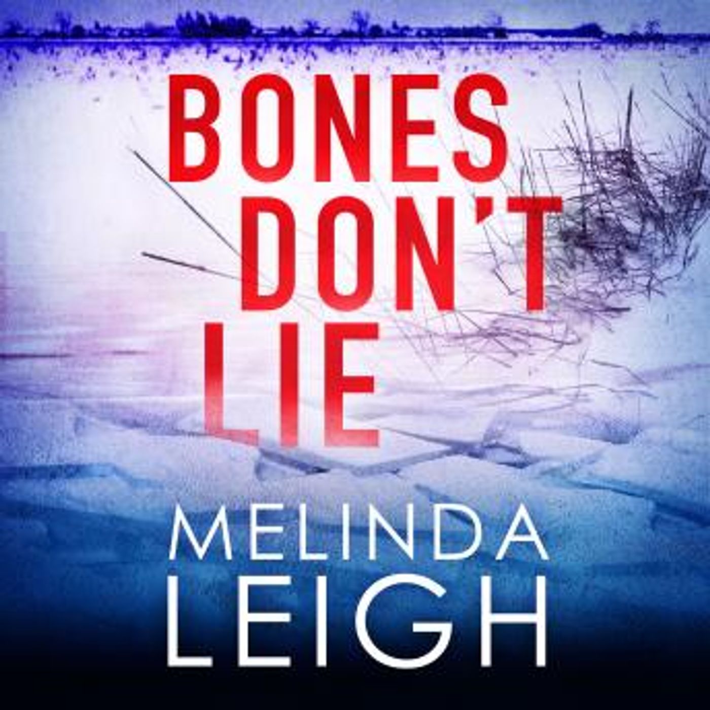 Discover Top Free Audiobooks in Romance, Mystery