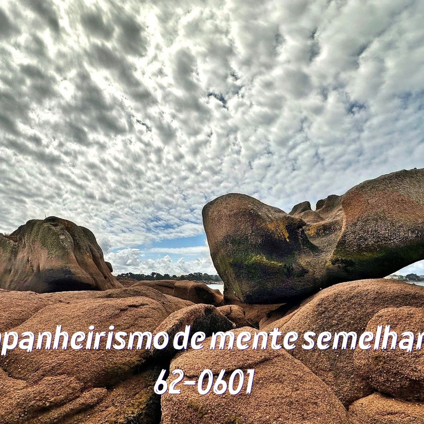 O Companheirismo De Mente Semelhante - Rev William Branham episode artwork