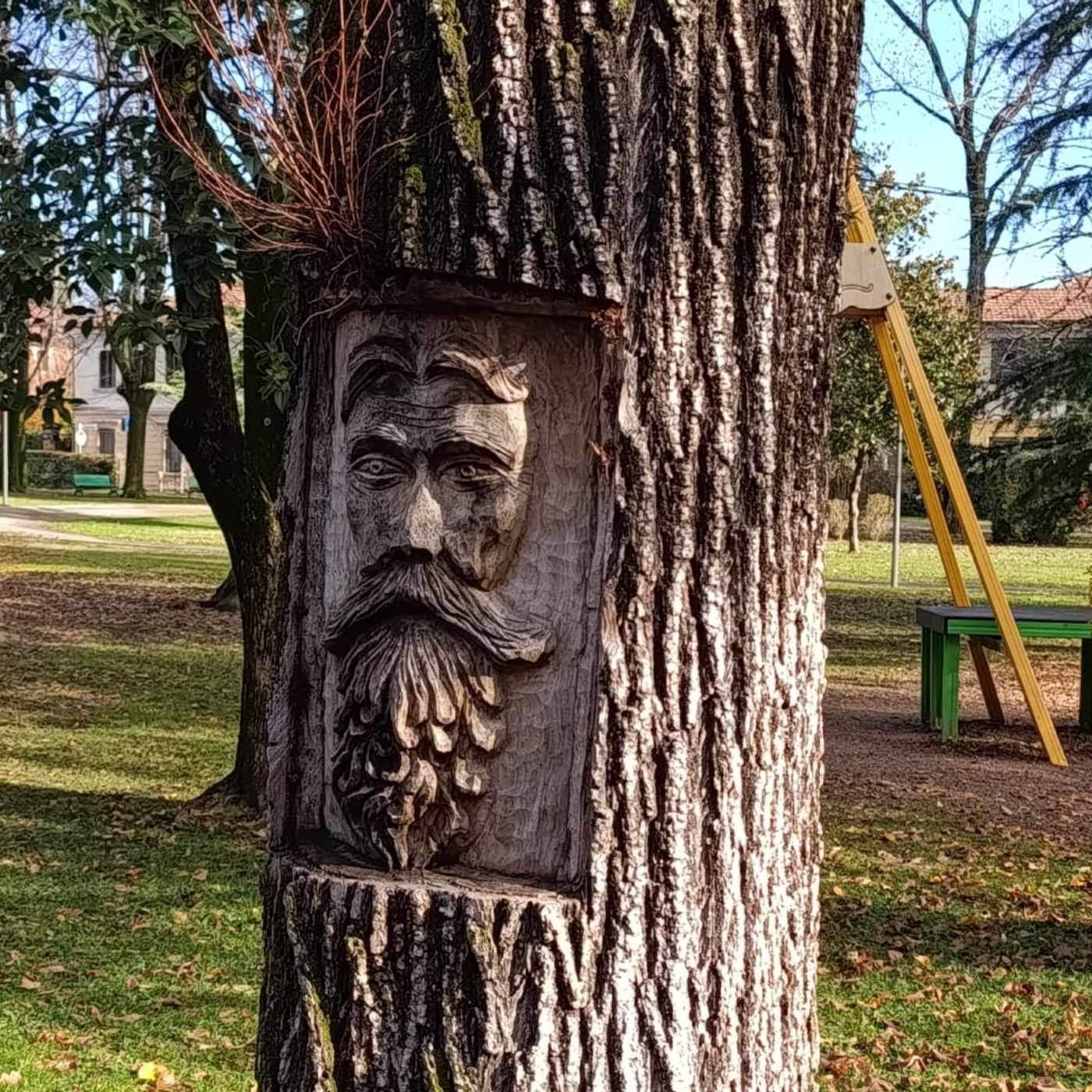 Due nuovi alberi e un volto scolpito su un tronco morto: al Bosco la celebrazione del ciclo della vita Due nuovi alberi e un volto scolpito su un tronco morto: al Bosco la celebrazione del ciclo della vita