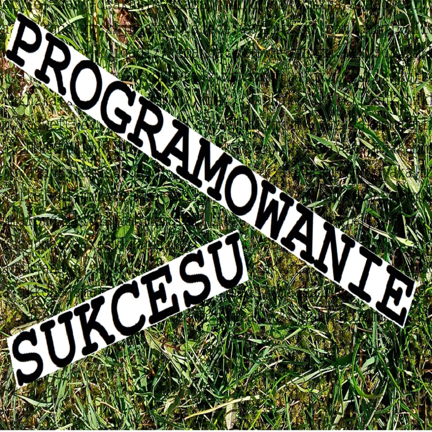 Programowanie Sukcesu