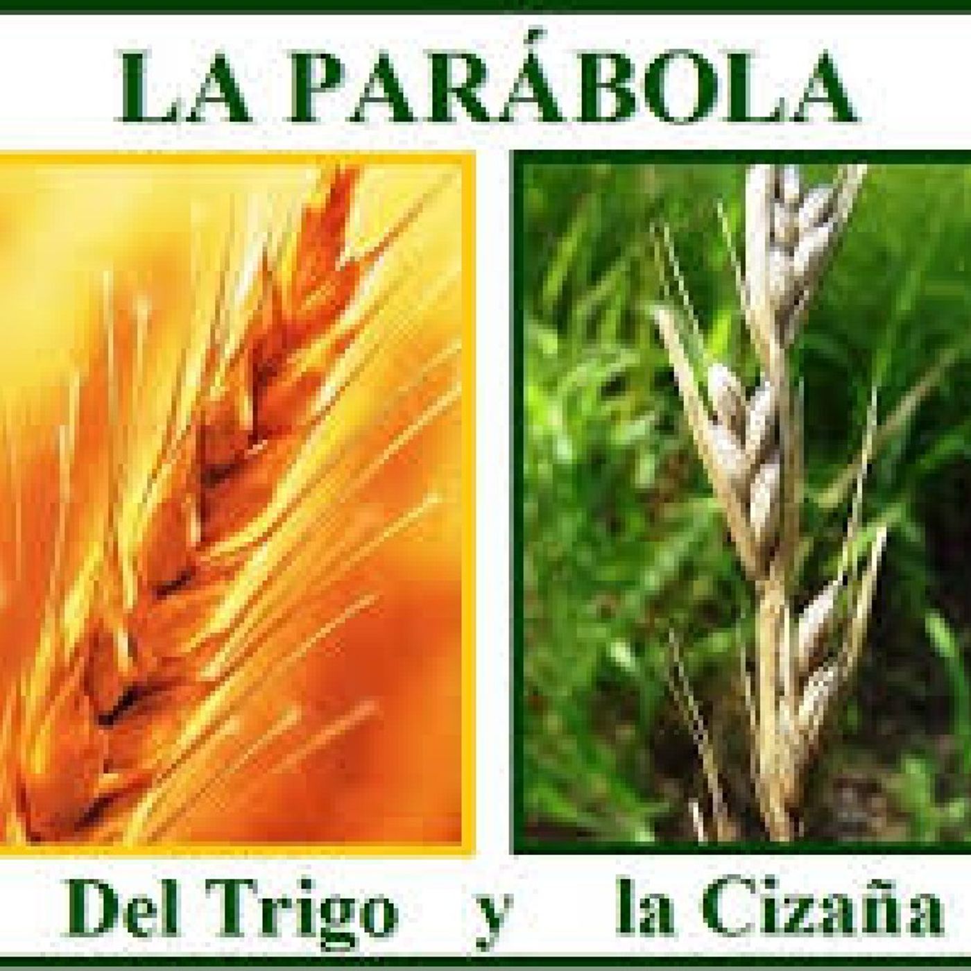PARÁBOLA DE LA CIZAÑA episode artwork