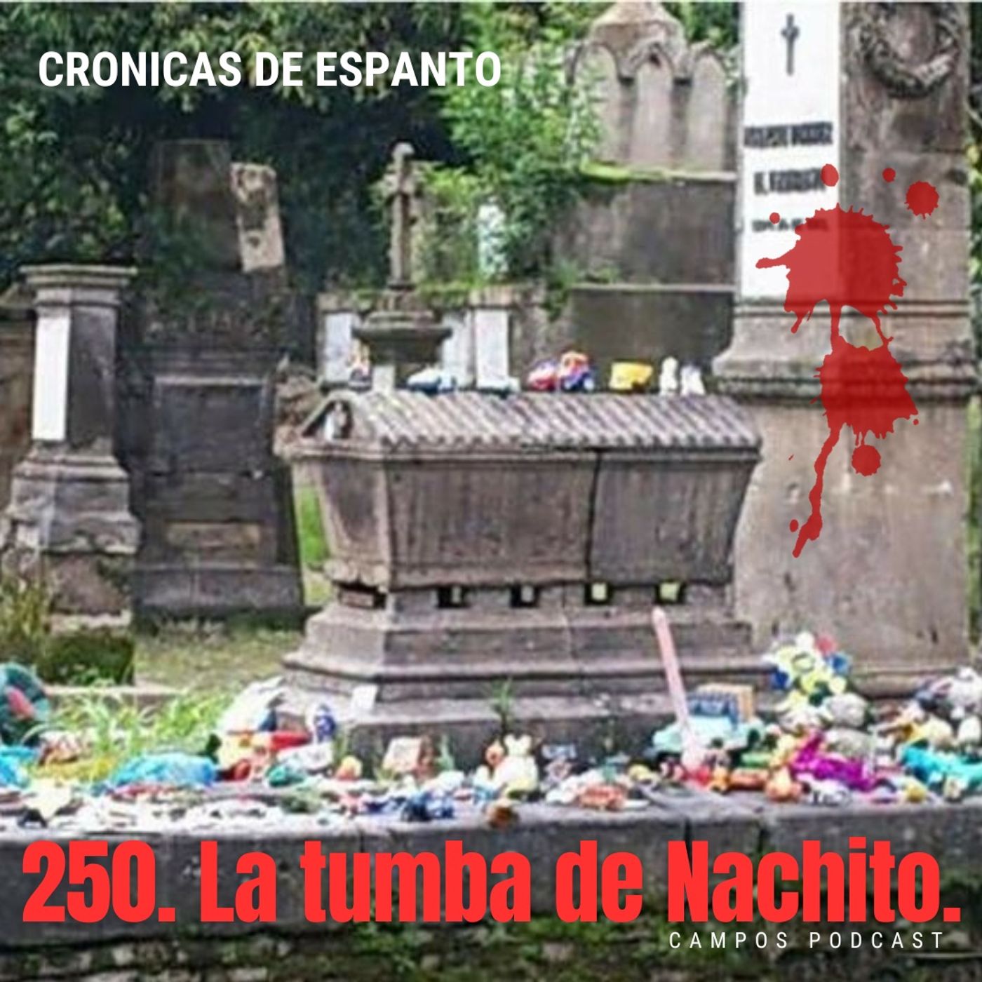 250. La tumba de Nachito.