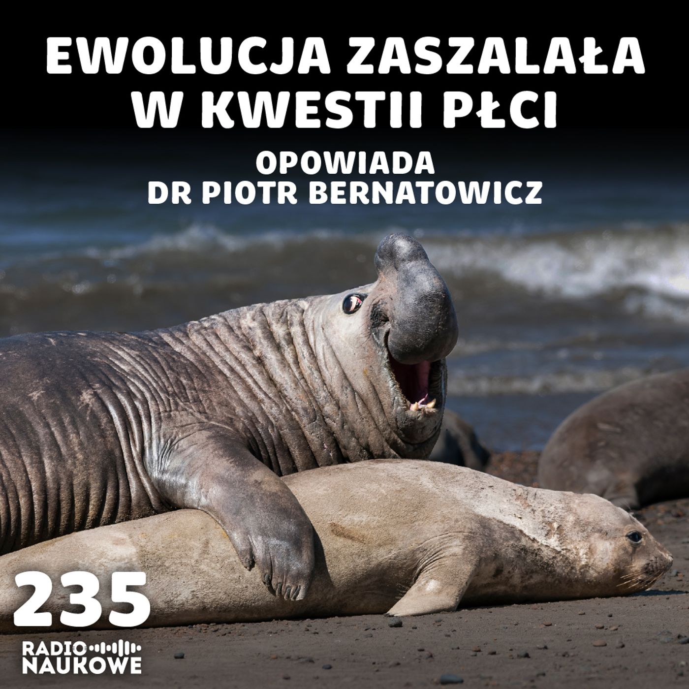 #235 Płeć a ewolucja – biologia nie lubi nudy i prostych podziałów | dr Piotr Bernatowicz