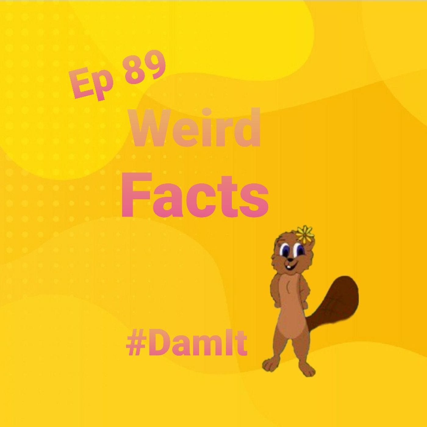 Damit With Beaver