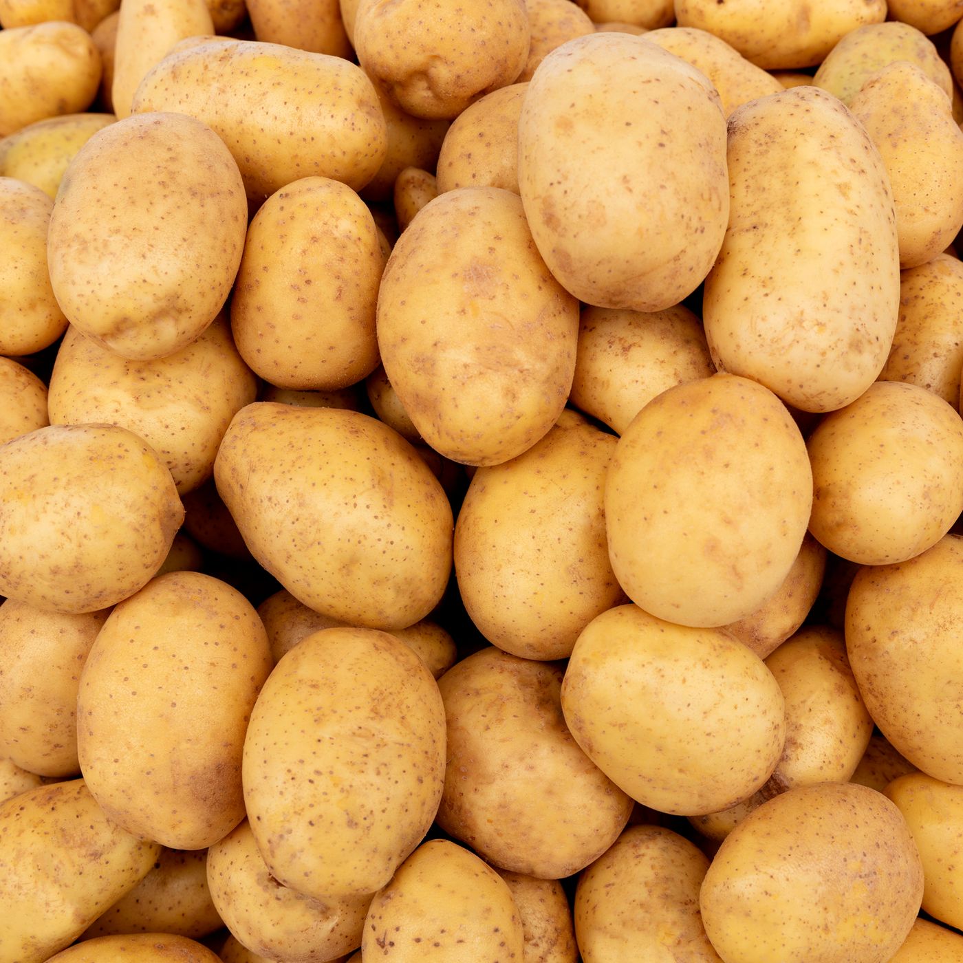 La Fumelli in Agrodolce