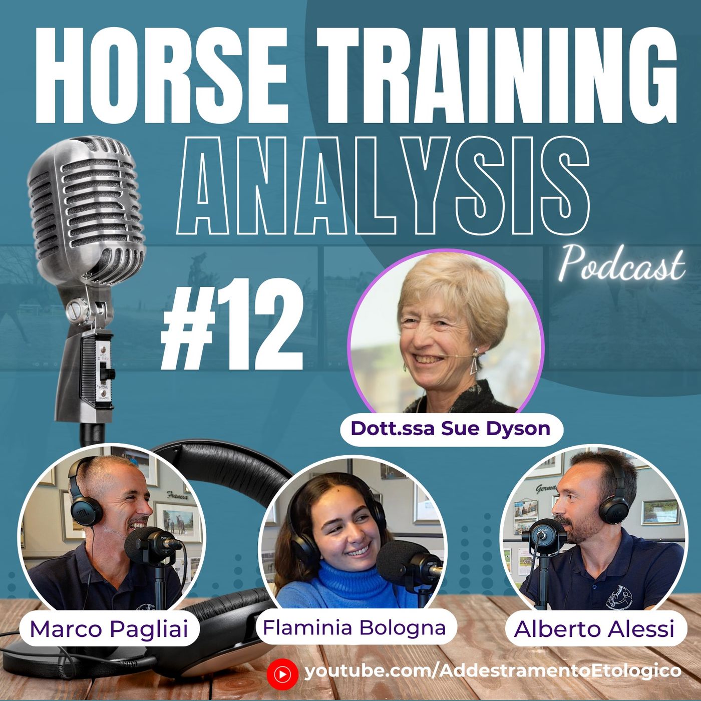 Horse Training Analysis
