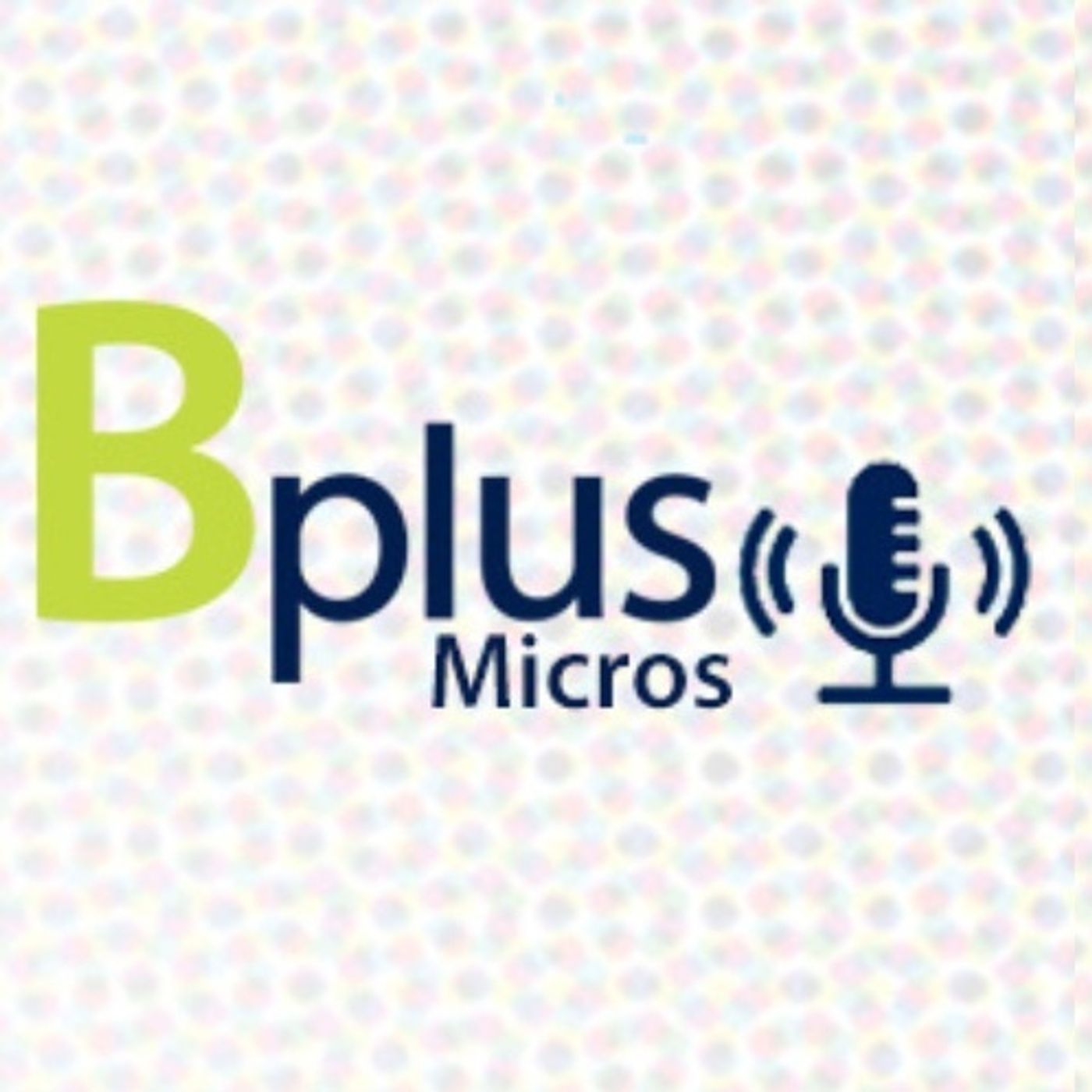 Micros Financieros Bplus
