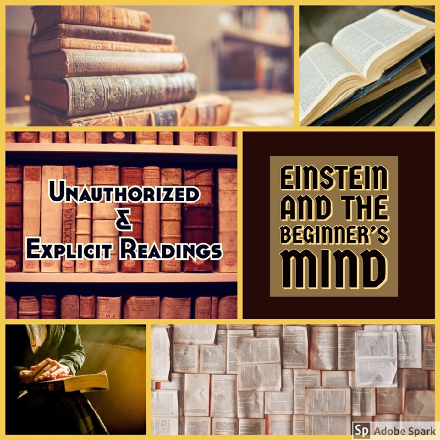 Einstein and the Beginner’s Mind episode artwork