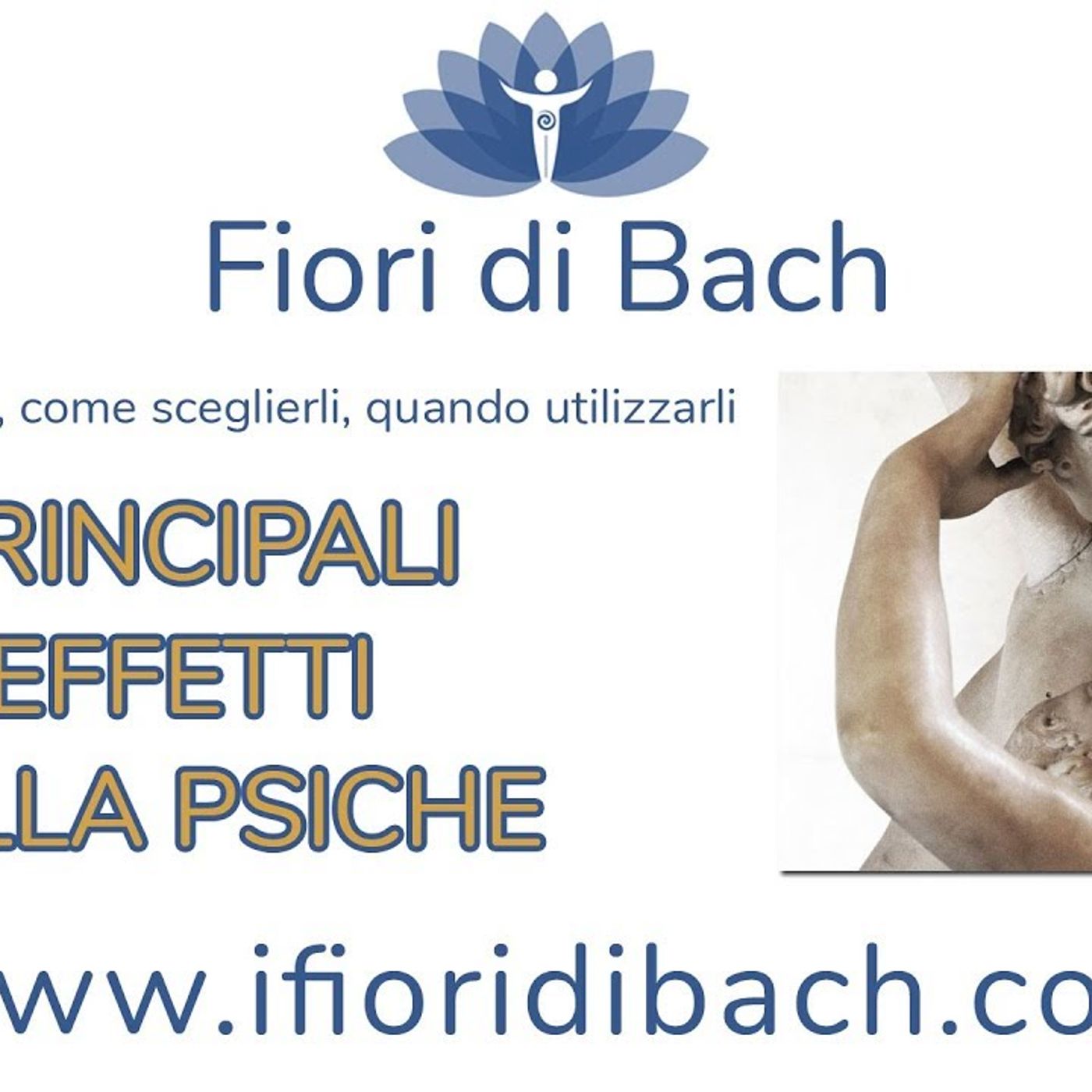 Fiori di Bach in pillole