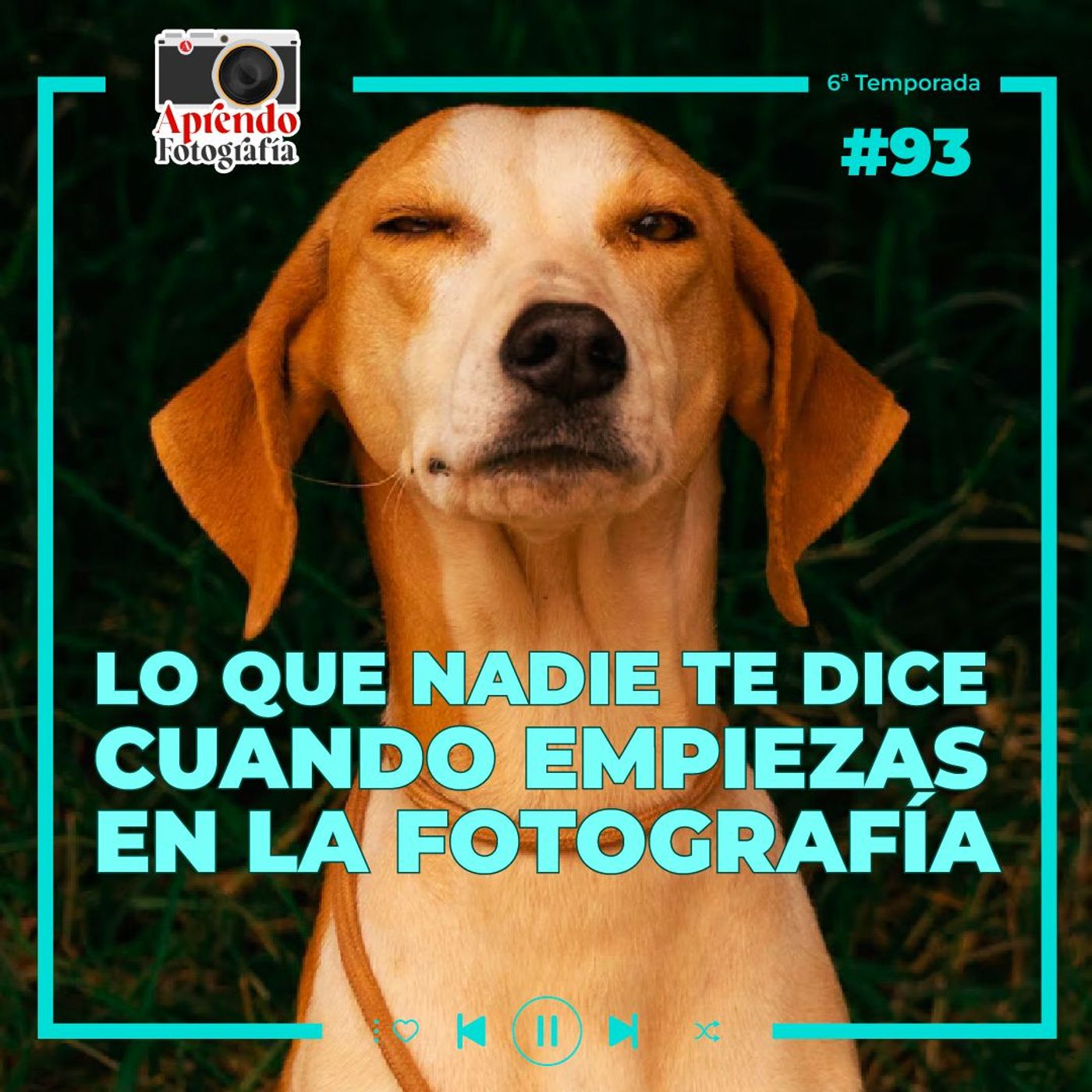 Aprendo Fotografía