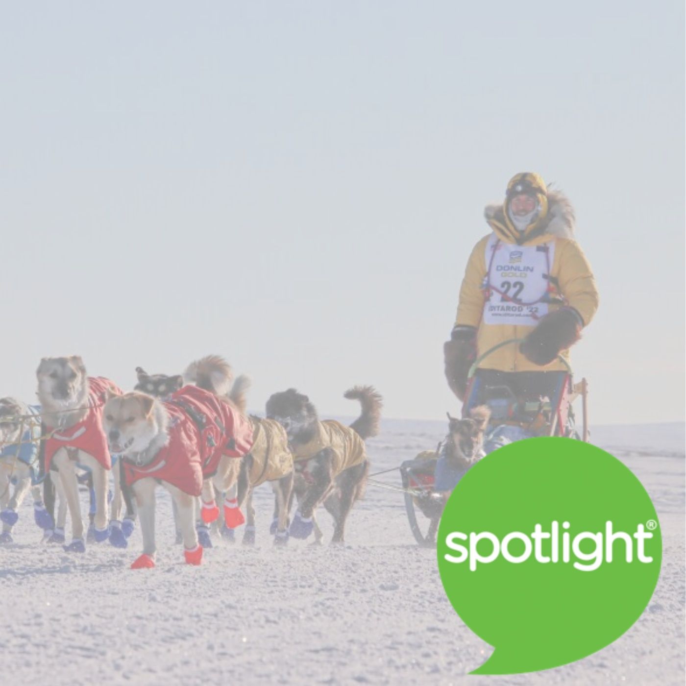 The Iditarod: The Last Great Race