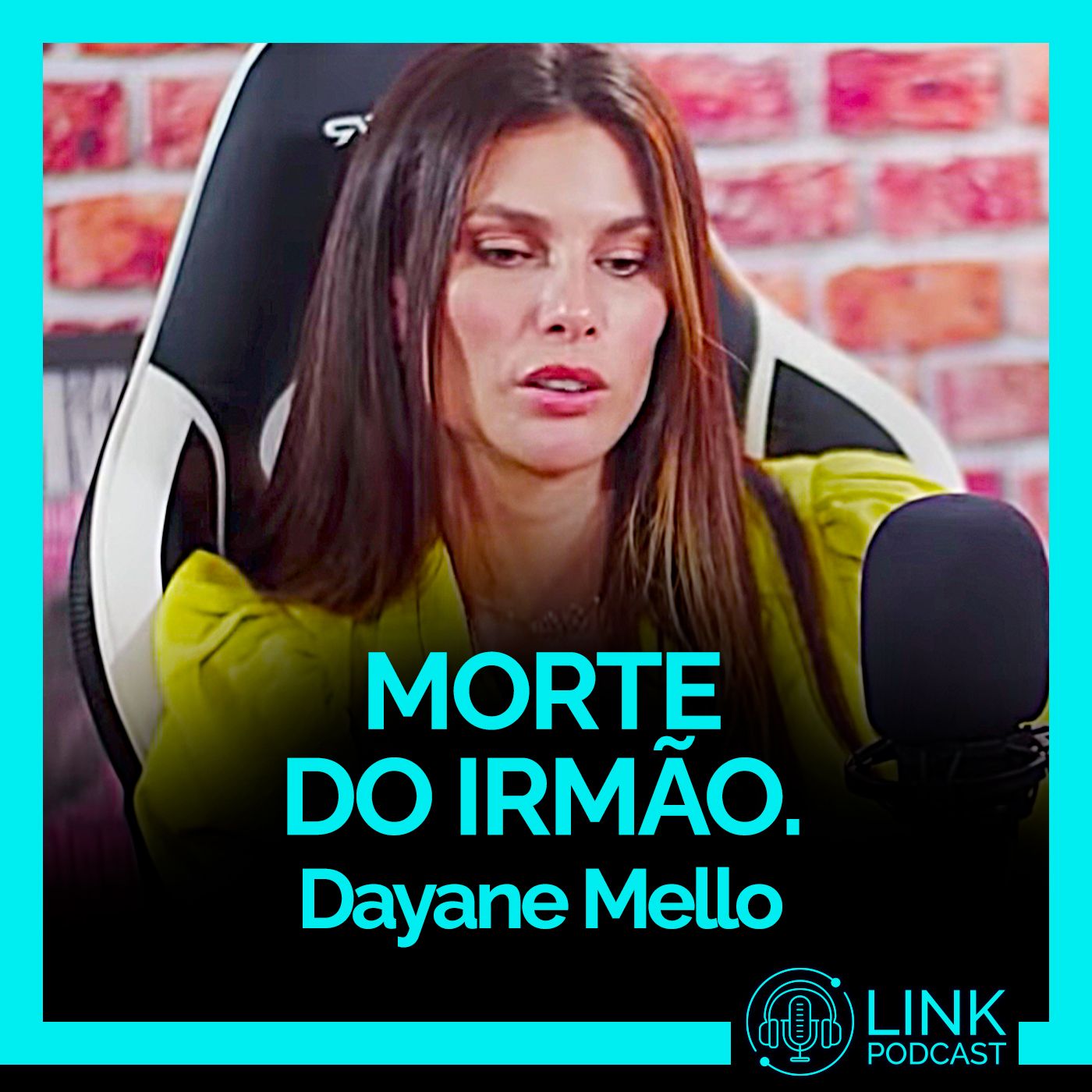 Link Podcast