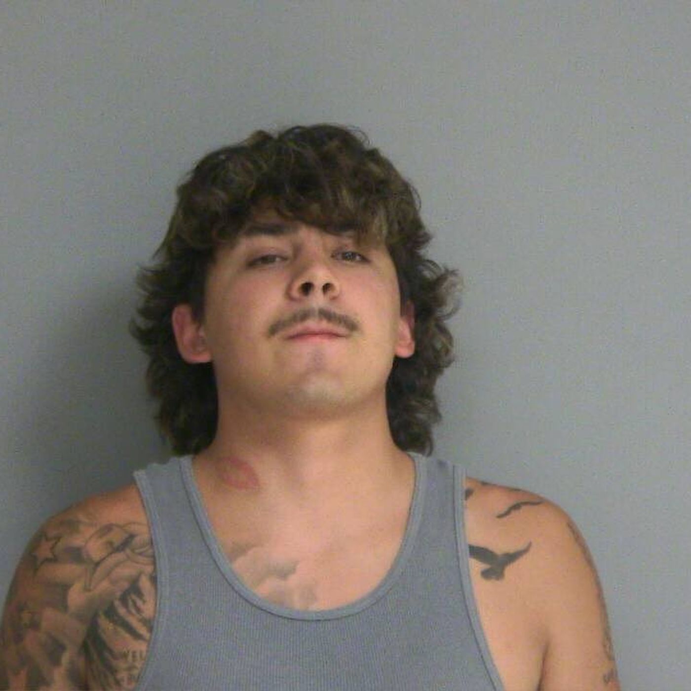 Two charged with felonies for misusing police lights episode artwork