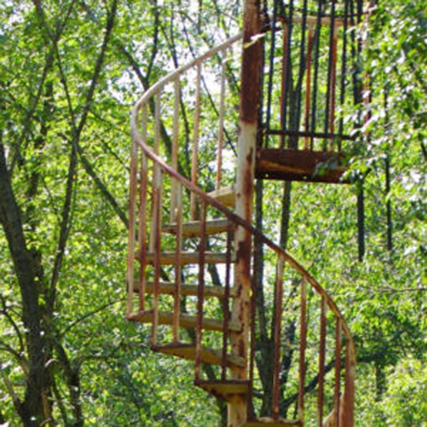 Episode 45 Stairs in the Woods and Krysta turns 12