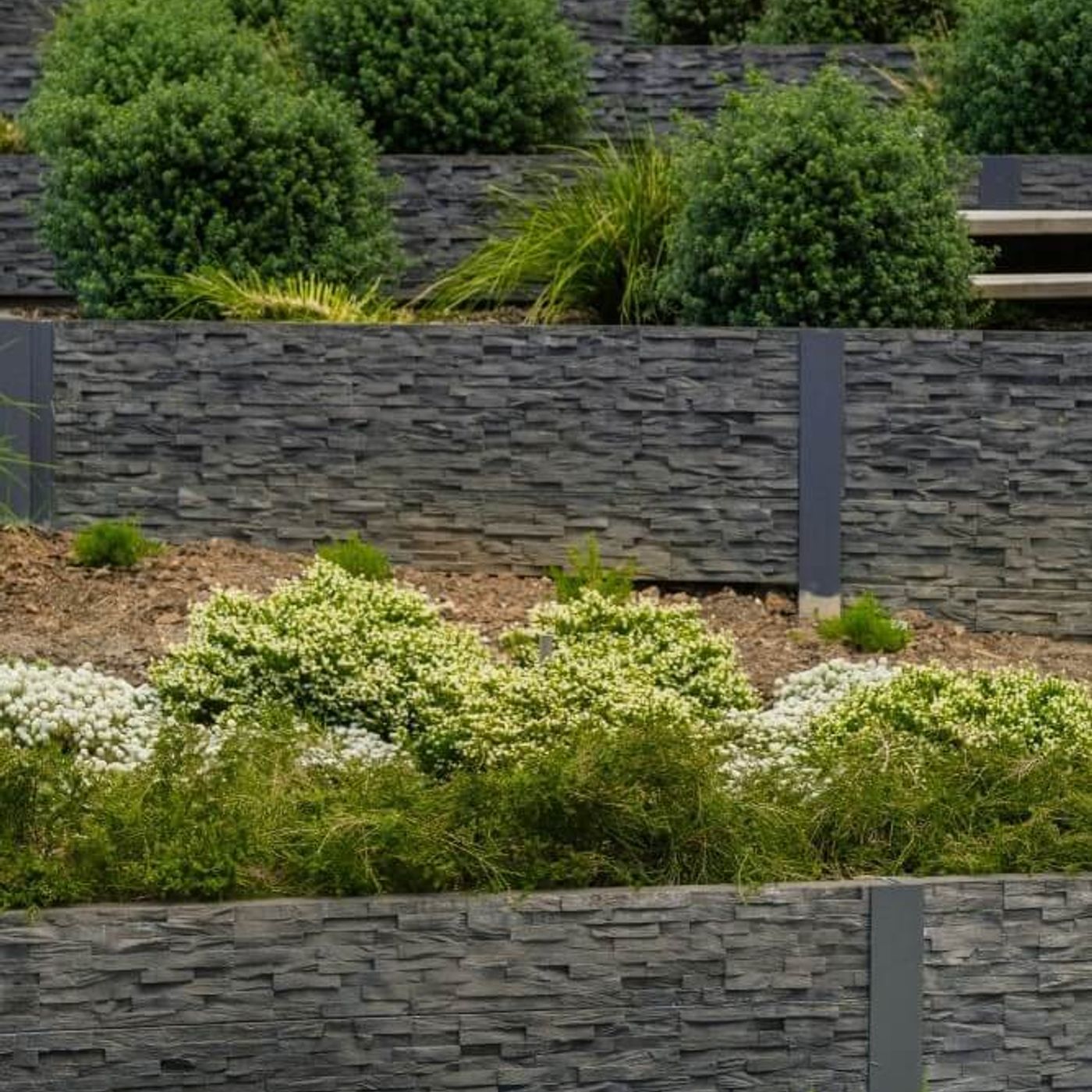 Gorilla Wall cover art