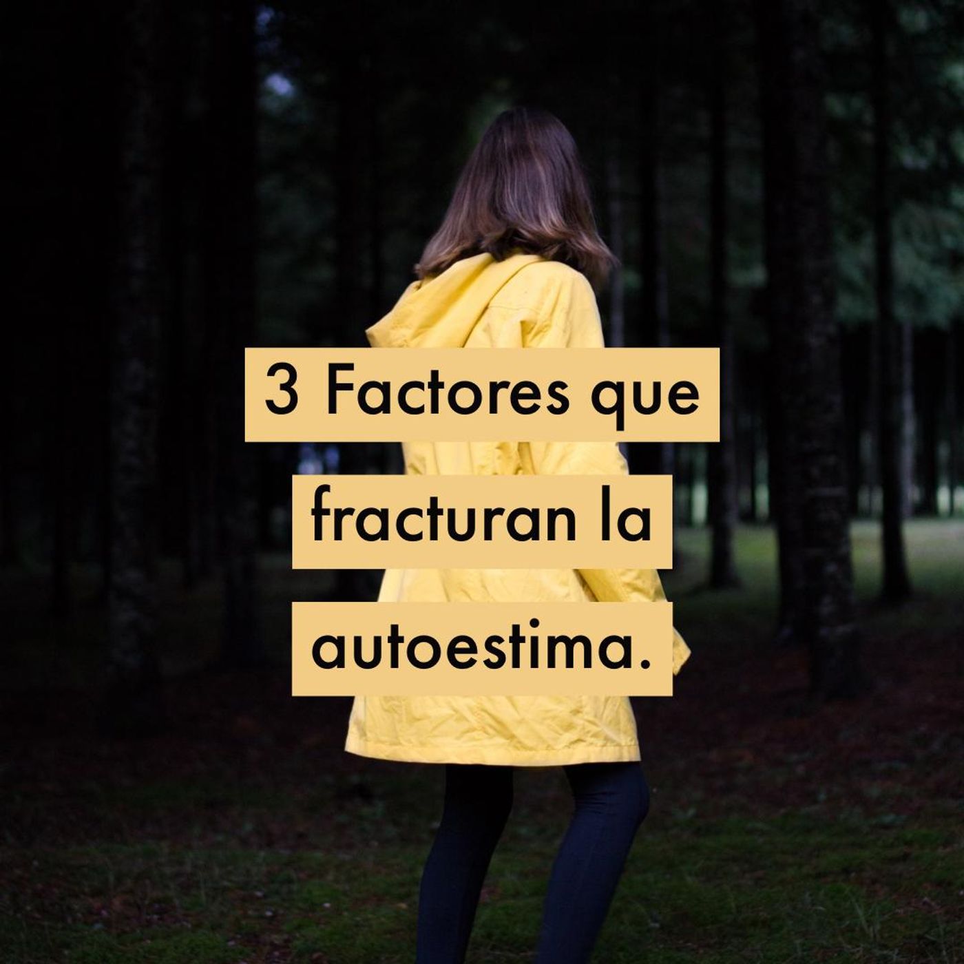 3 Factores que Fracturan la Autoestima.