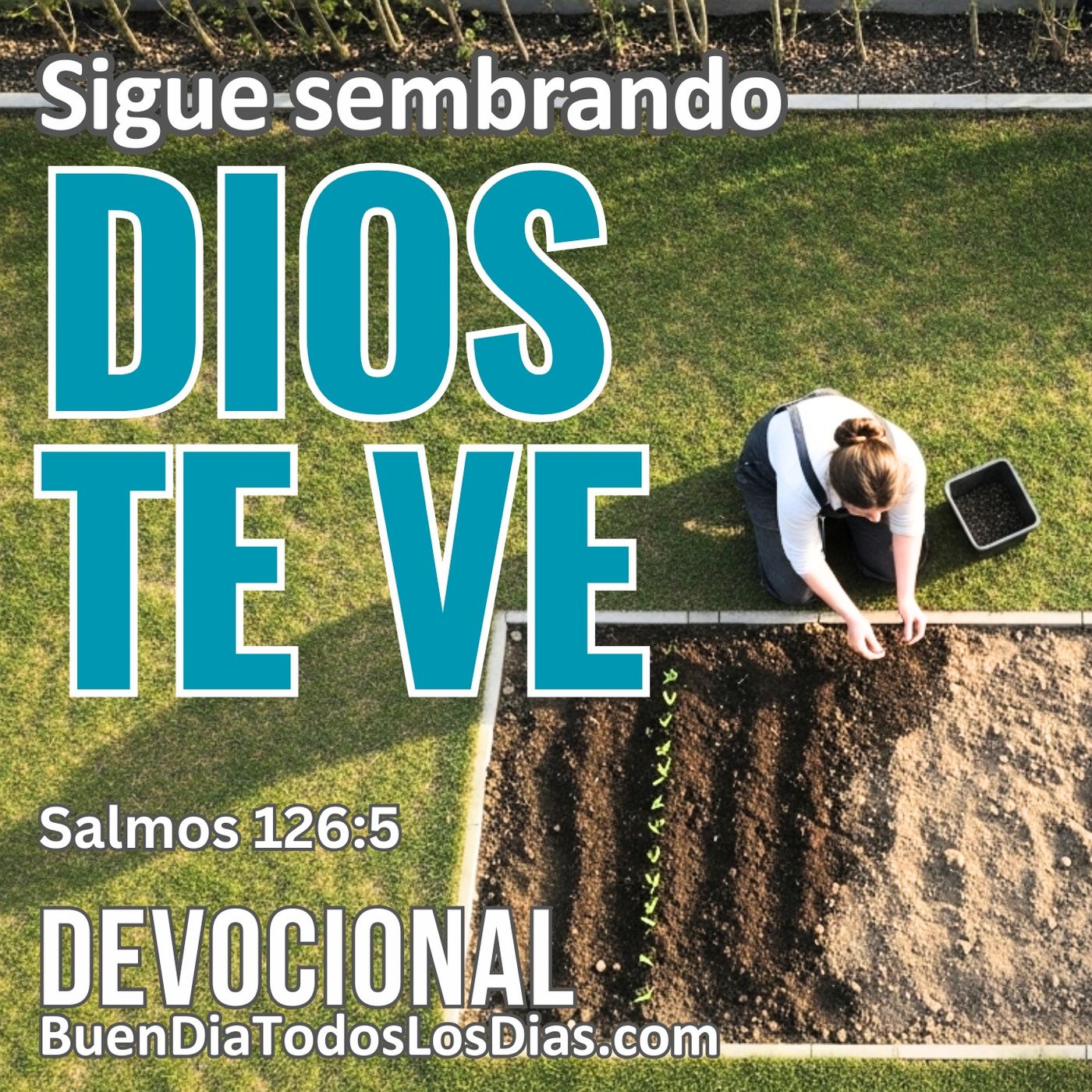 Sembrando y esperando