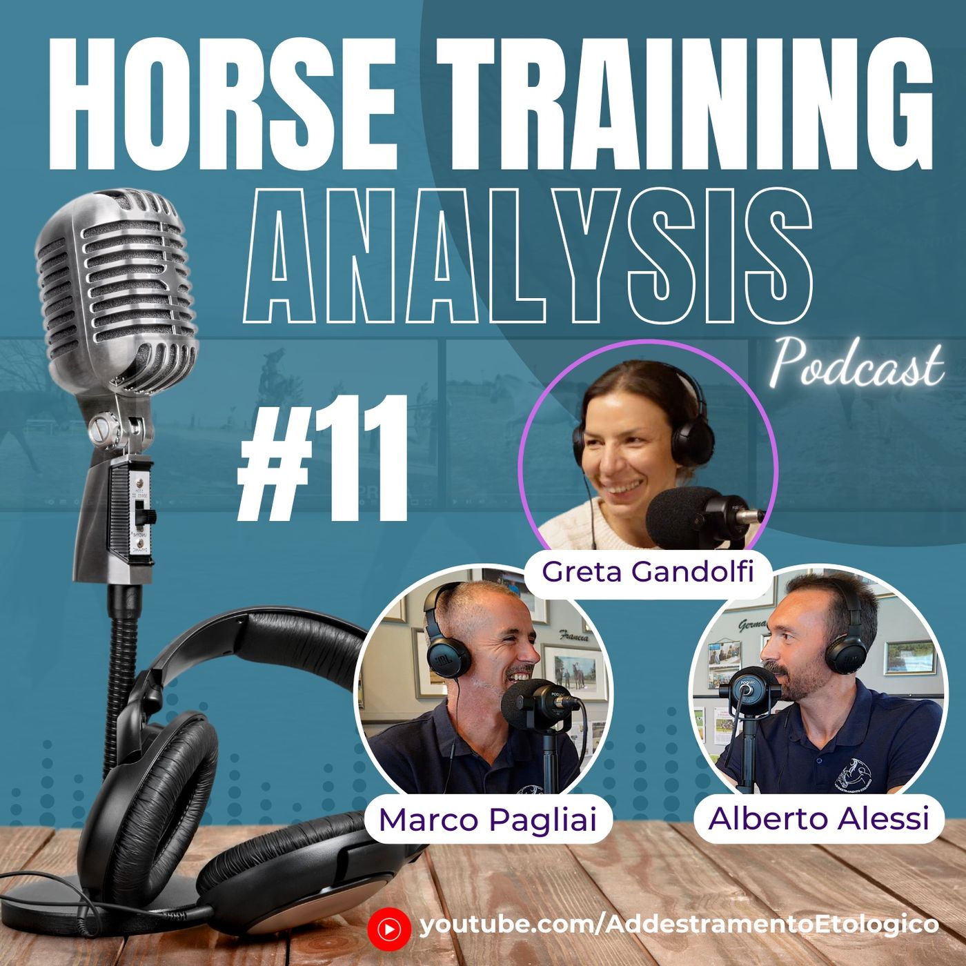 Horse Training Analysis