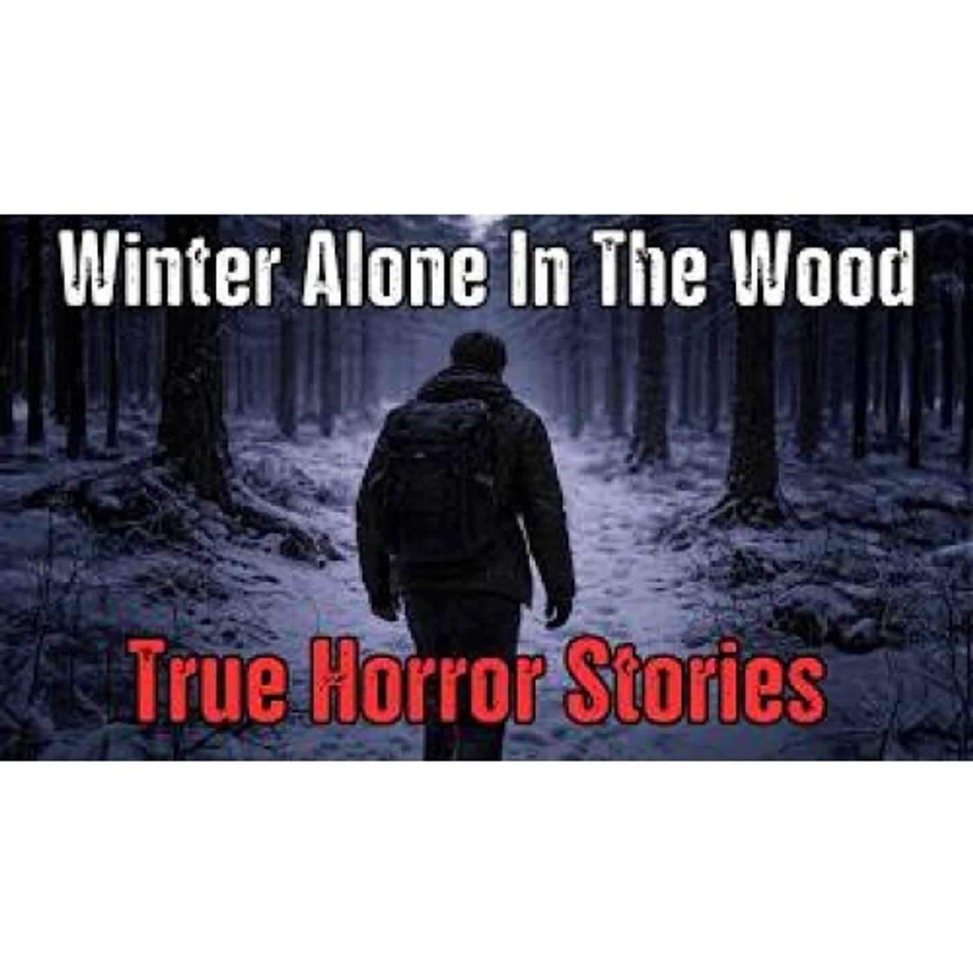 Alone in the Frozen Woods… 3 Disturbing True Winter Horror Stories episode artwork