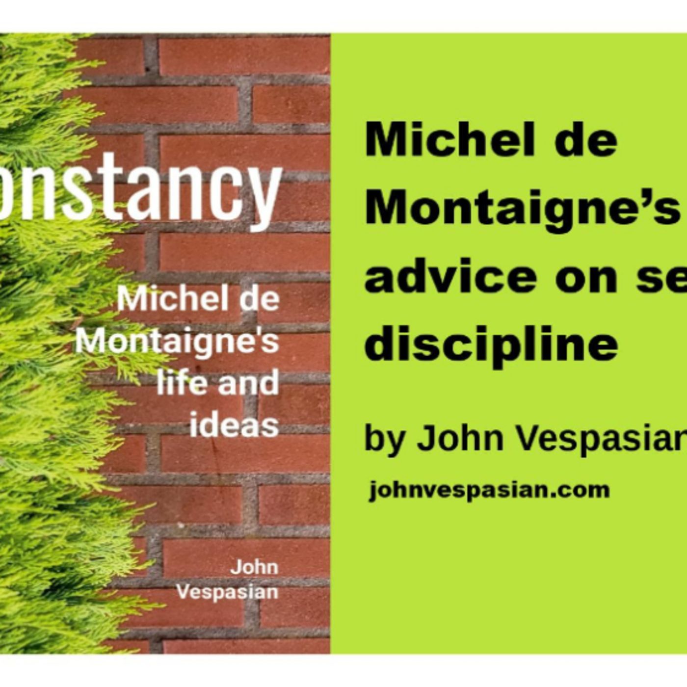 Michel de Montaigne’s advice on self-discipline episode artwork