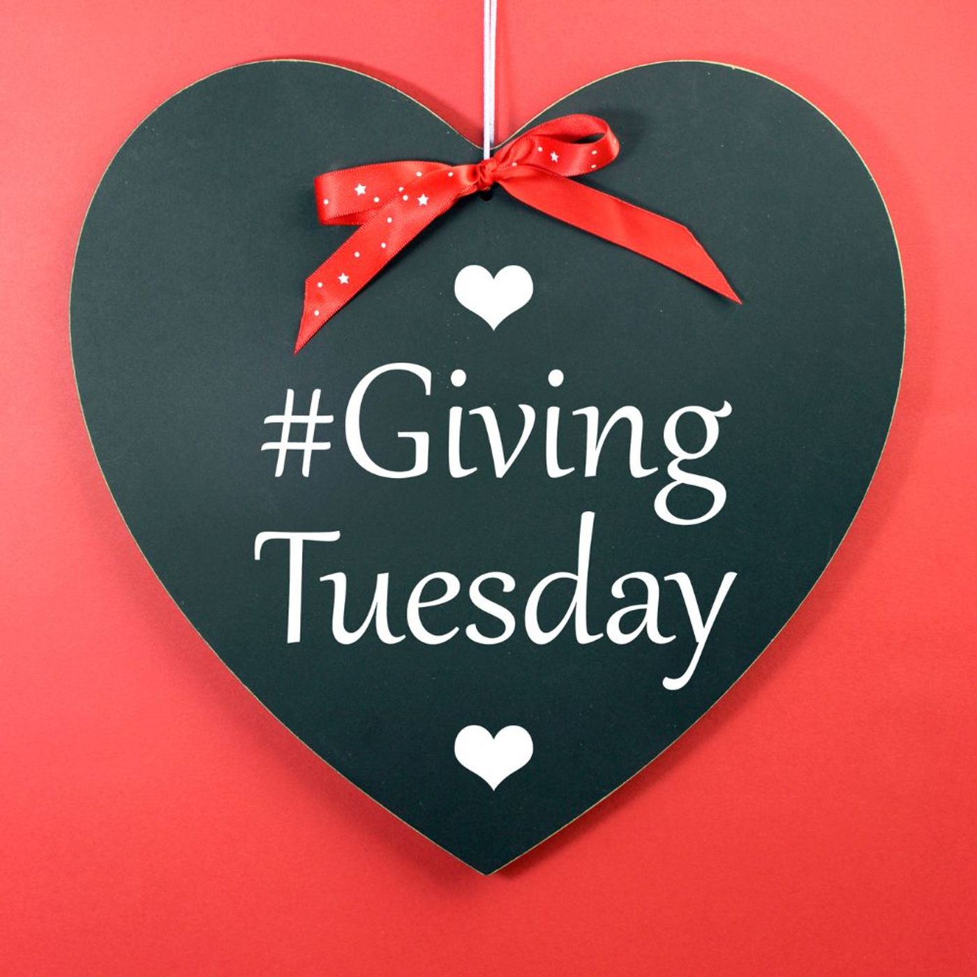 Today Is Giving Tuesday! Please Support These Organizations