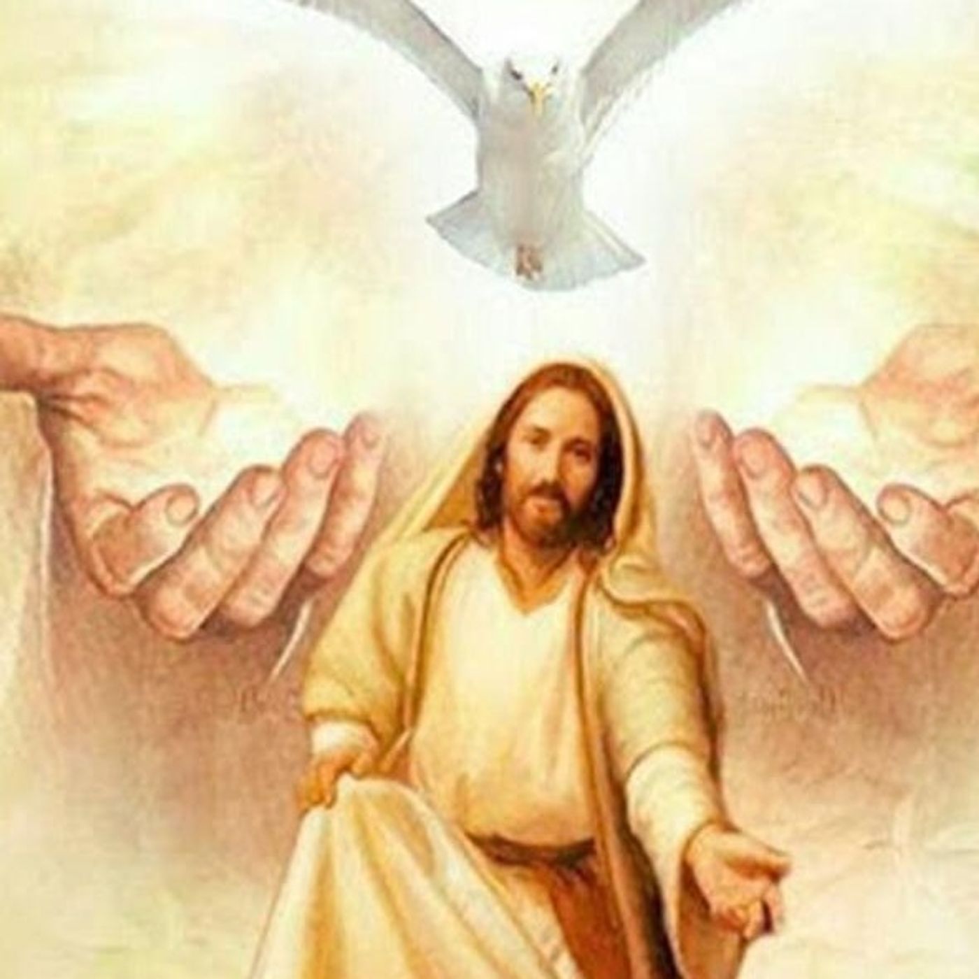 Retiro Virtual Divina Voluntad