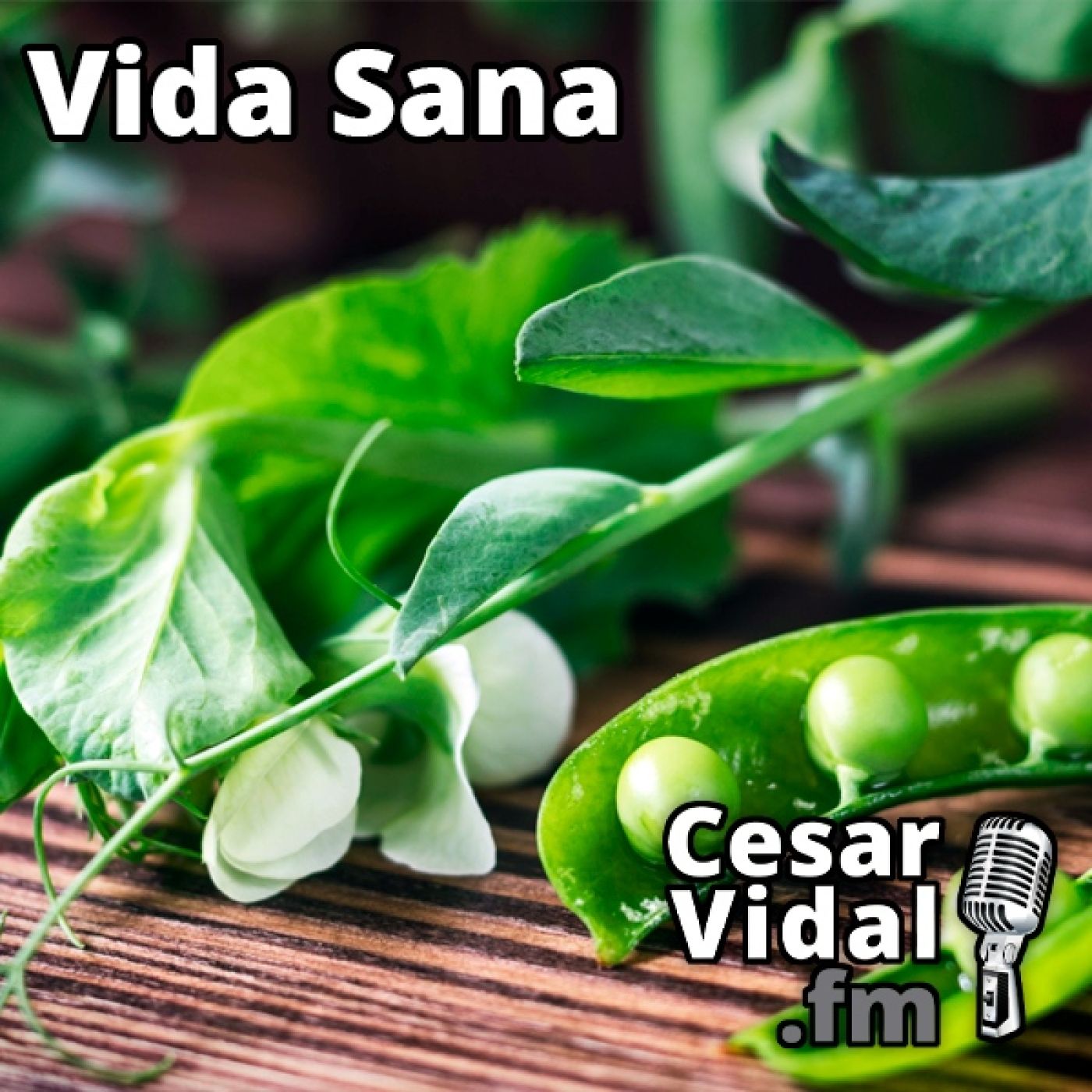 La Voz de César Vidal