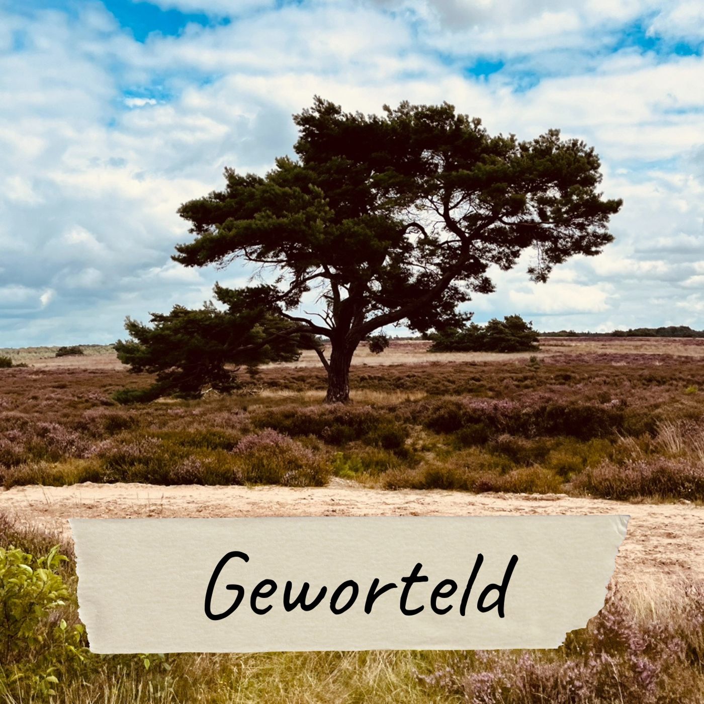 Geworteld