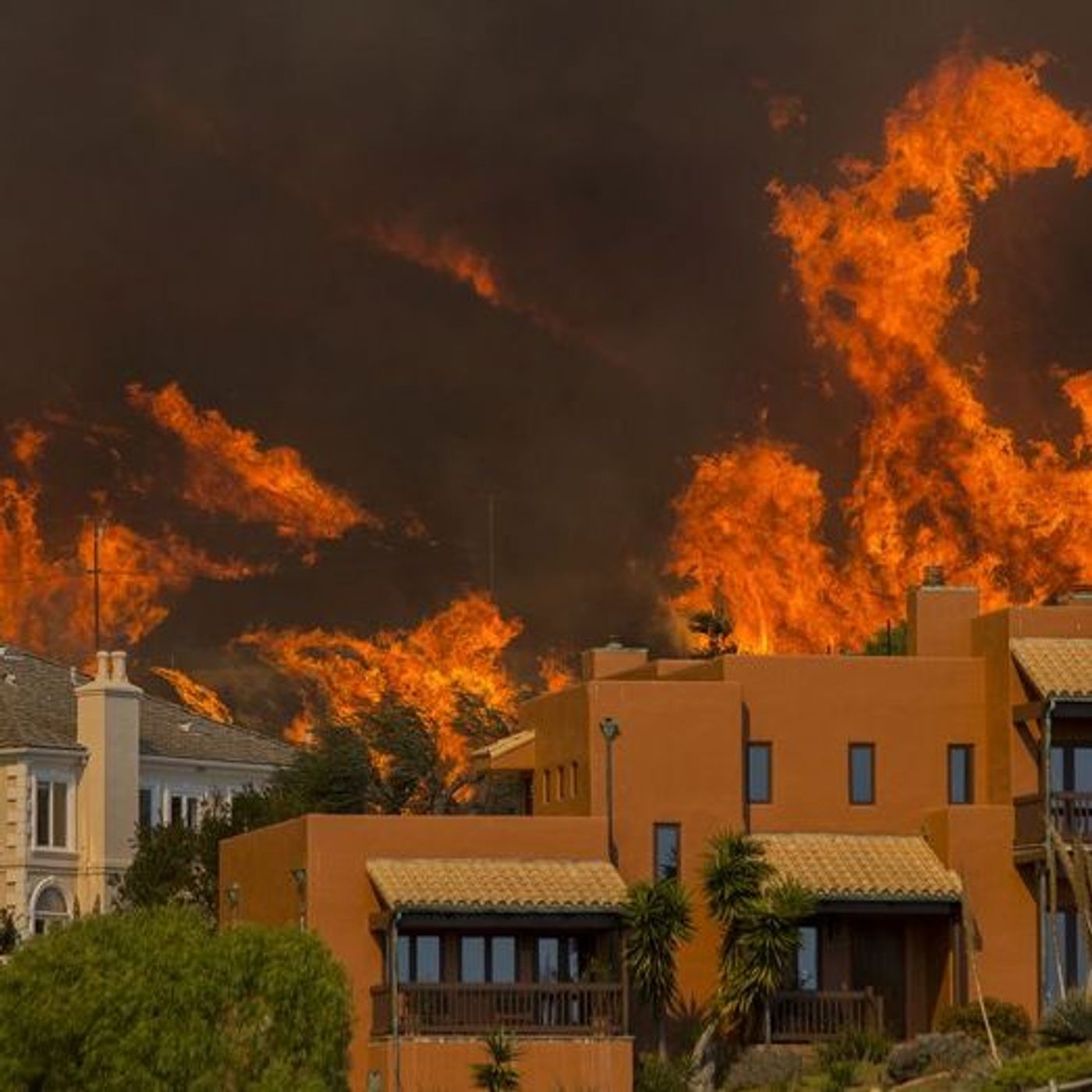 Episode 355 - Blame Radical Environmentalists for CA Wildfires episode artwork