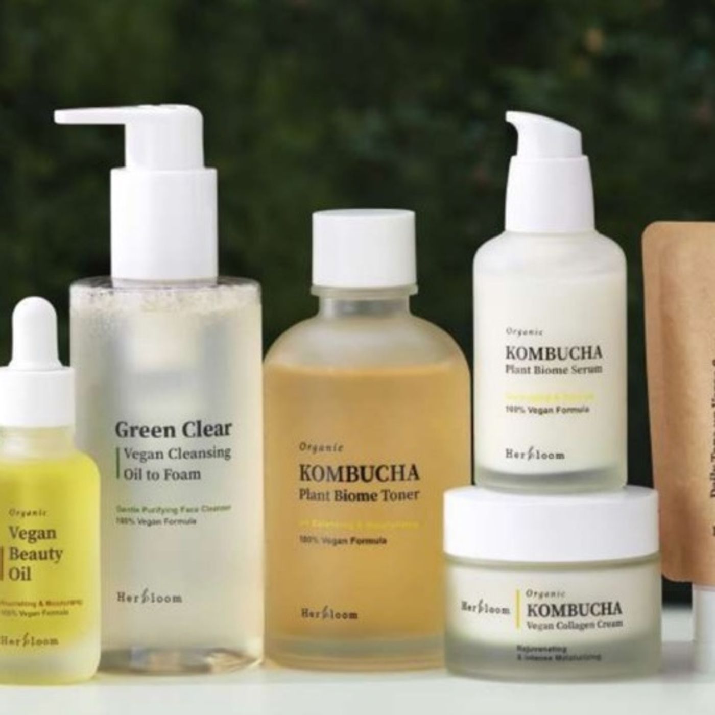 Beneficios de una bebida fermentenda ahora en nuestra piel Beneficios de una bebida fermentenda ahora en nuestra piel