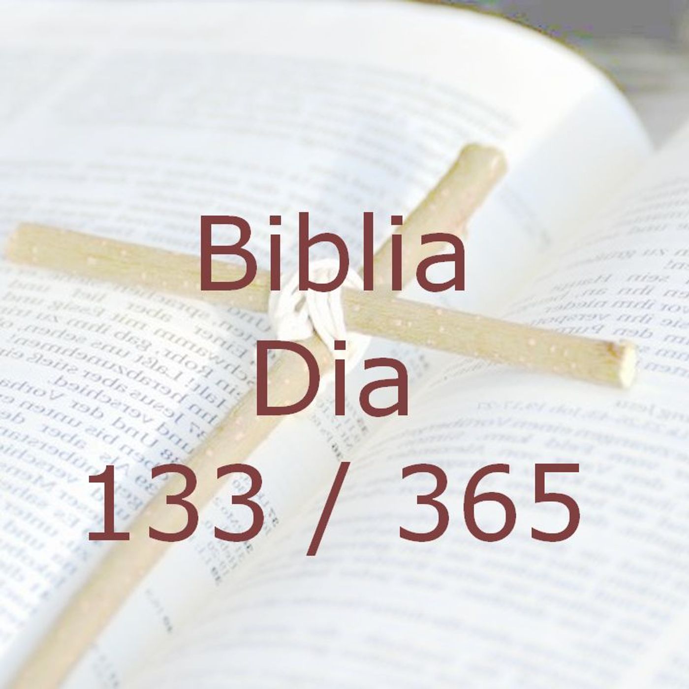 La Biblia en 365 dias