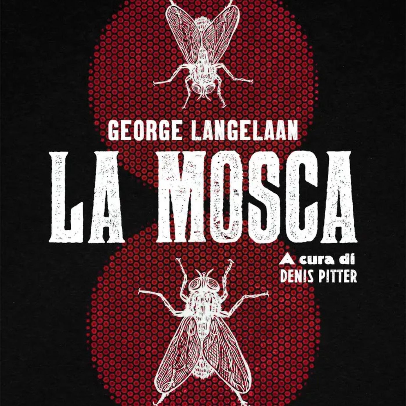 La biblioteca del gatto rosso