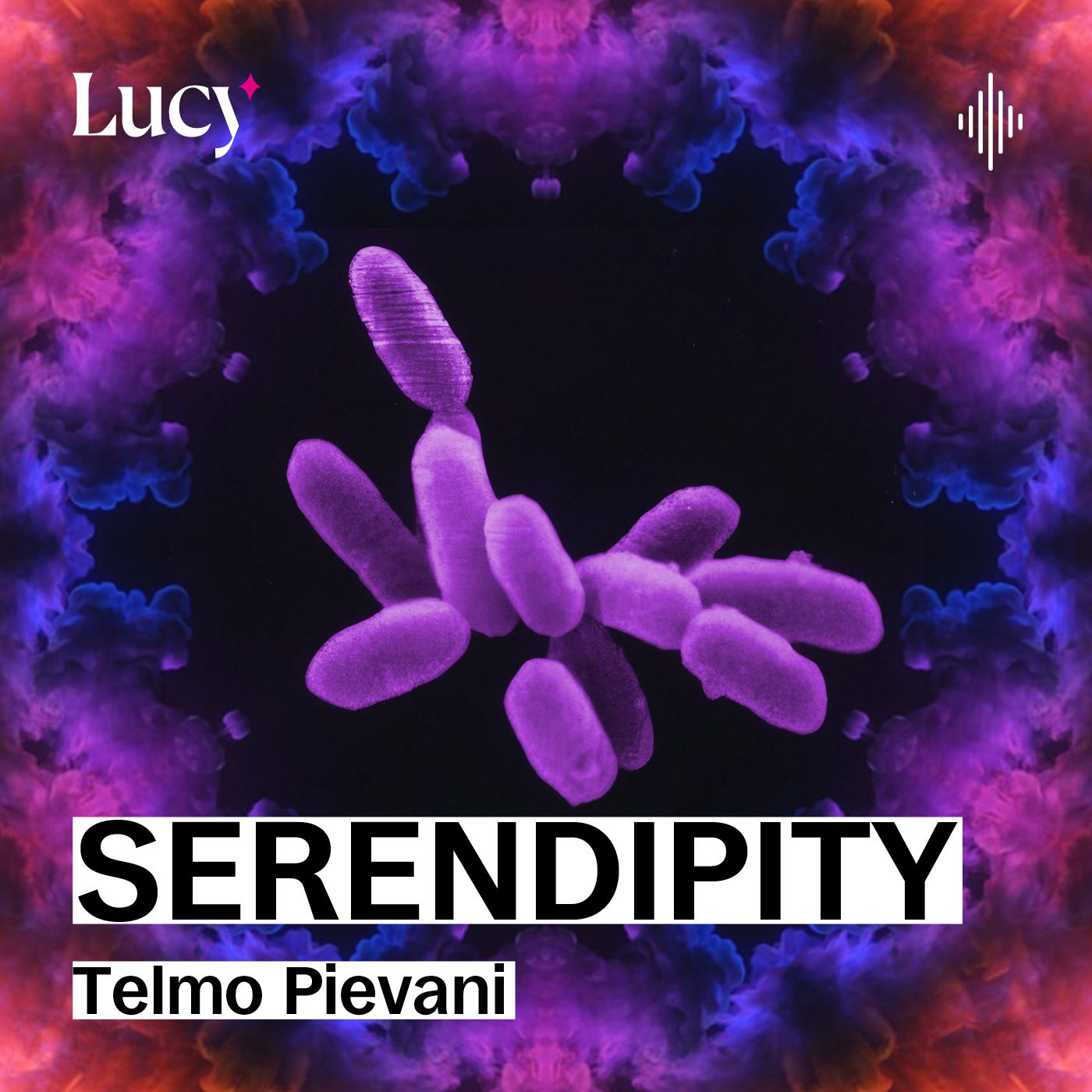 Impariamo dagli archeobatteri a sopportare il sale