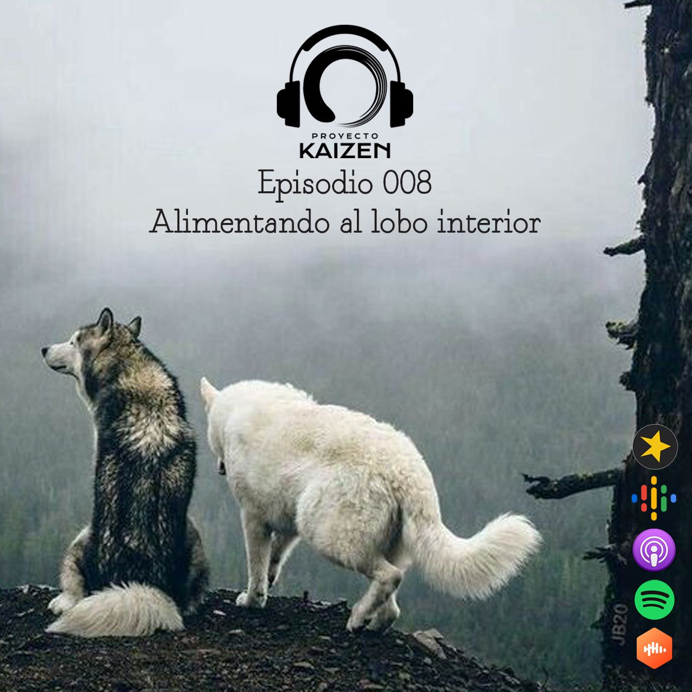 Proyecto Kaizen