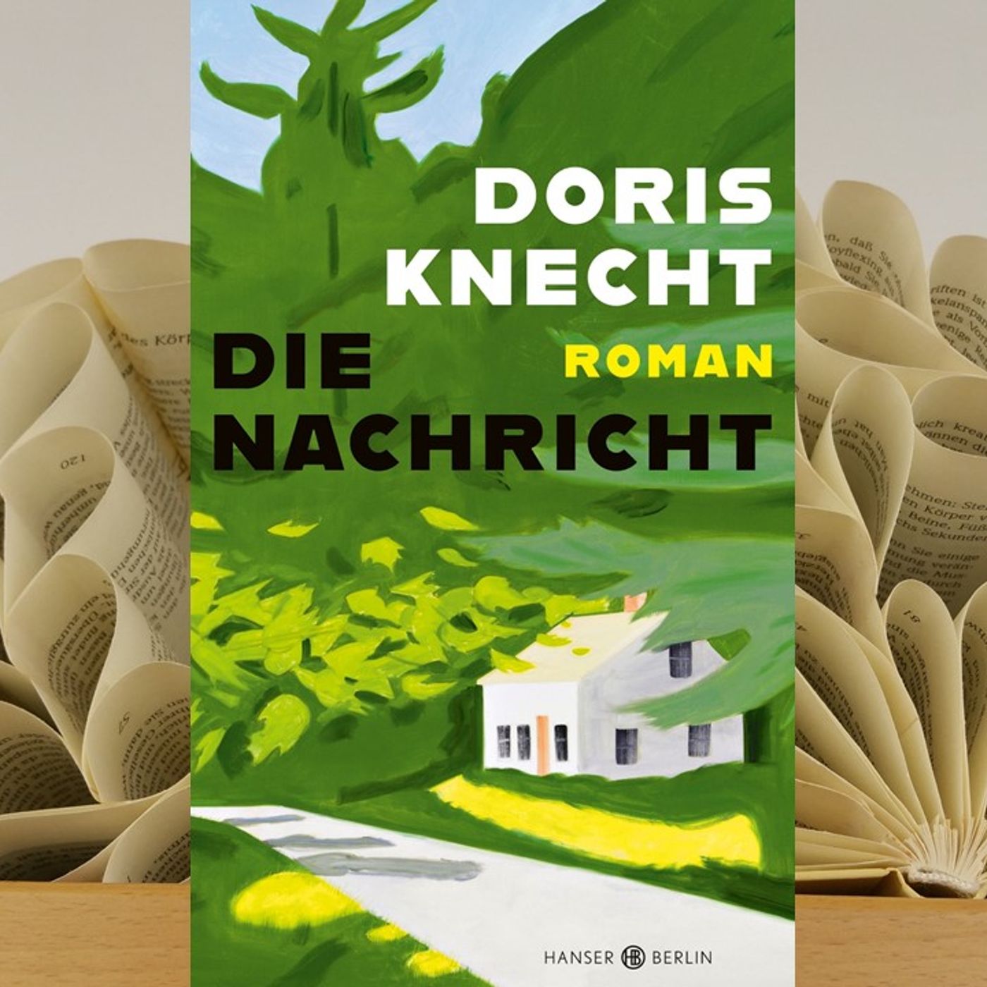 14.17. Doris Knecht - Die Nachricht (Kerstin Morgenstern) episode artwork