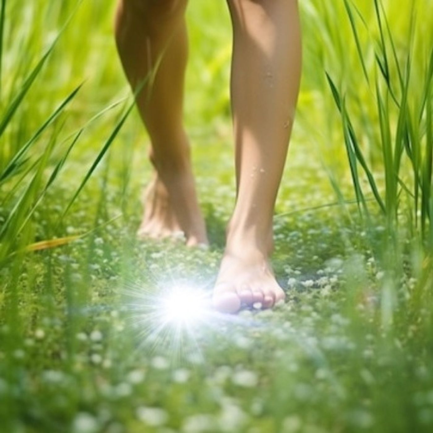 Meditazioni guidate ✨ La Porta della Luce