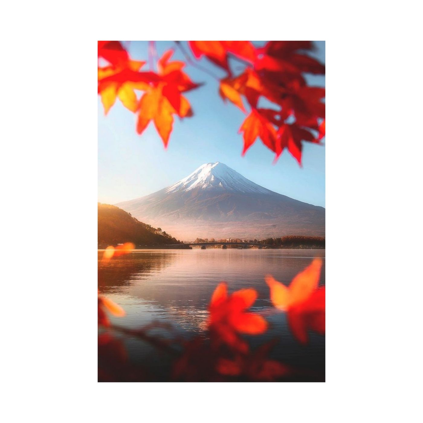 Nipponiamo