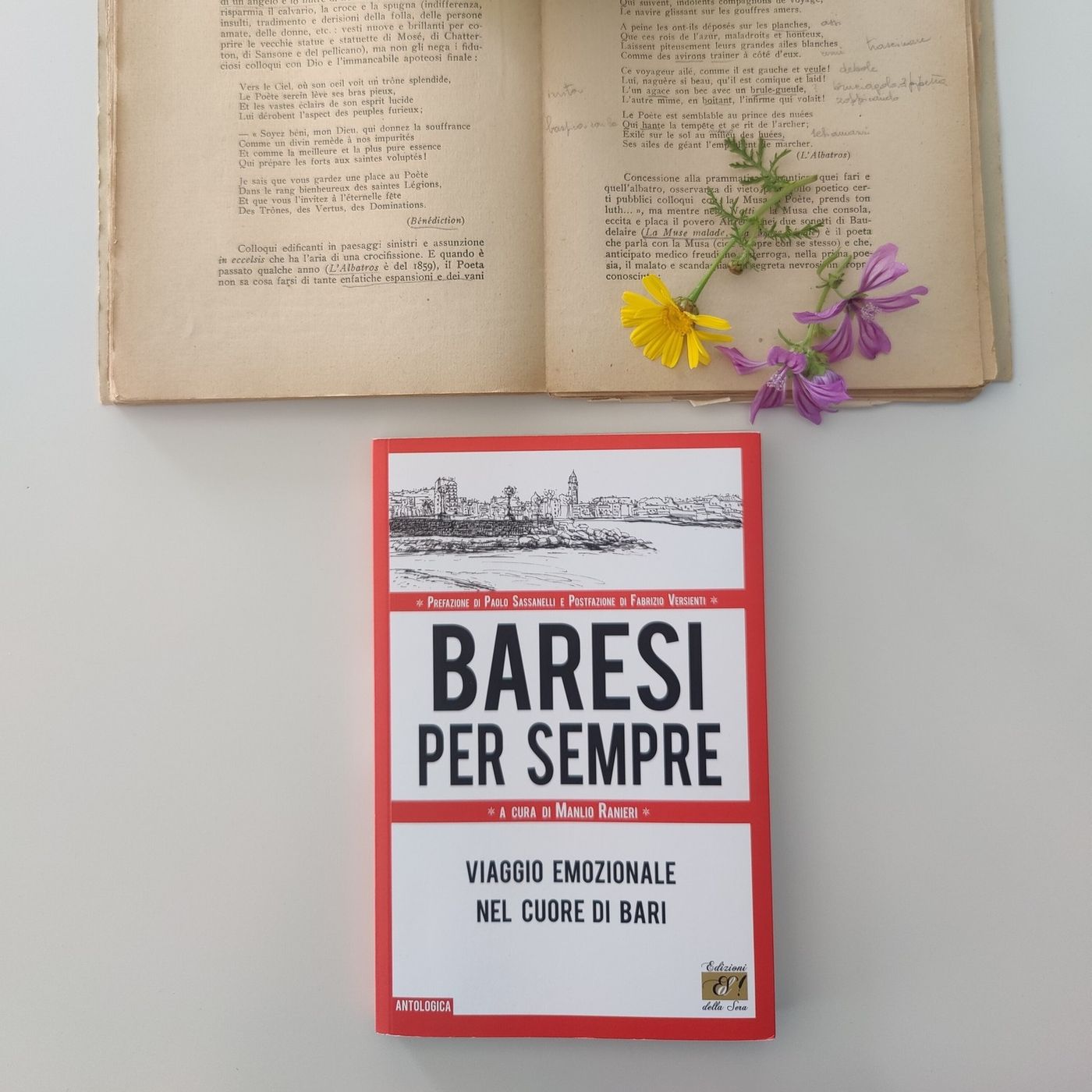 1984 Libri
